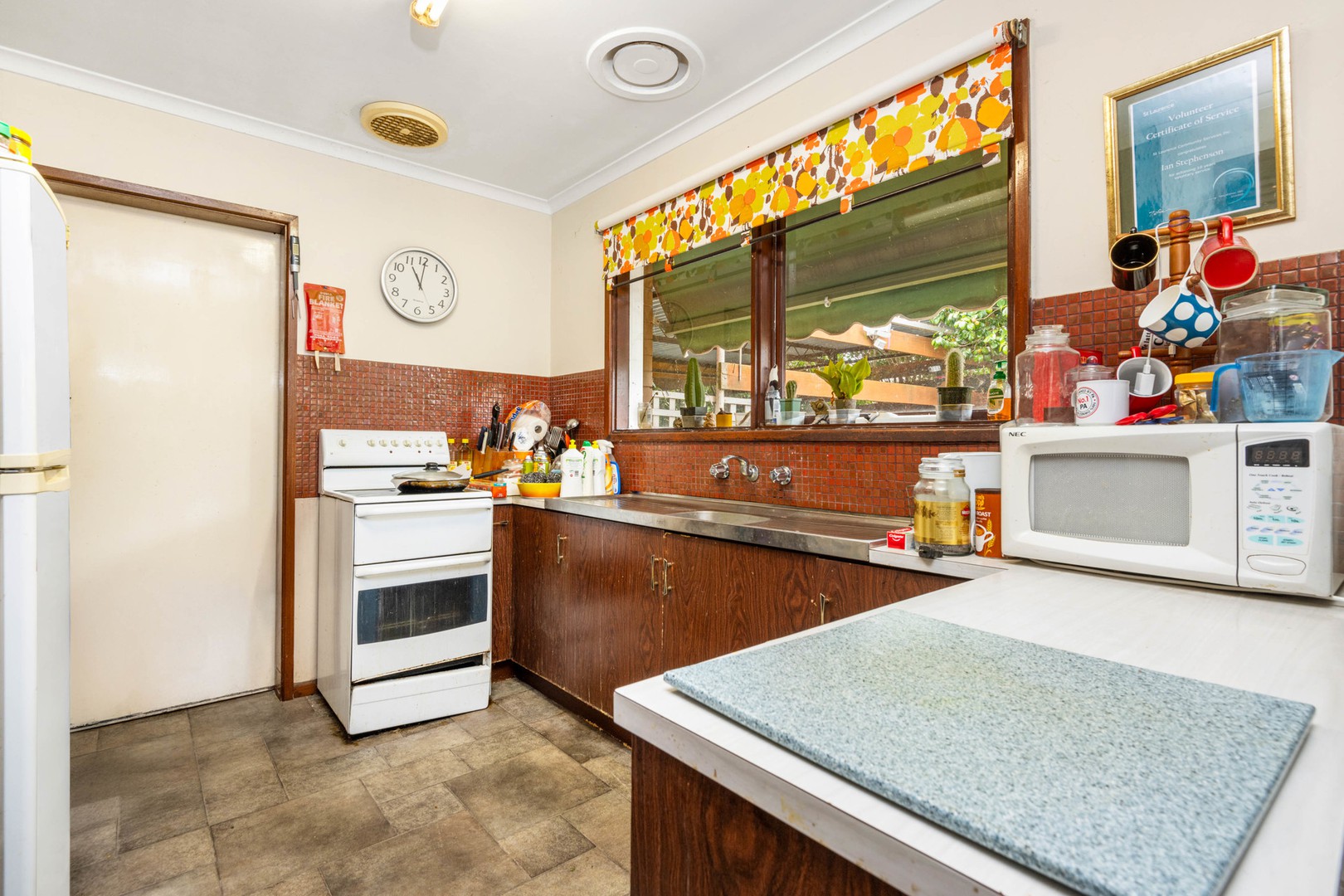 11 Dorothy Street, Leopold, VIC 3224, Leopold - Thumbnail 3