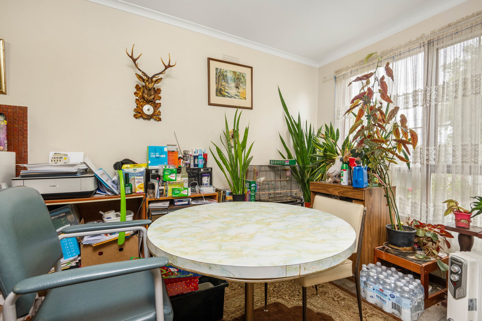 11 Dorothy Street, Leopold, VIC 3224, Leopold - Thumbnail 4