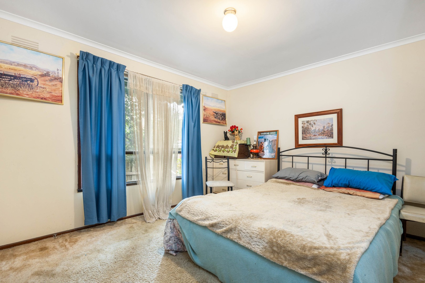 11 Dorothy Street, Leopold, VIC 3224, Leopold - Thumbnail 5