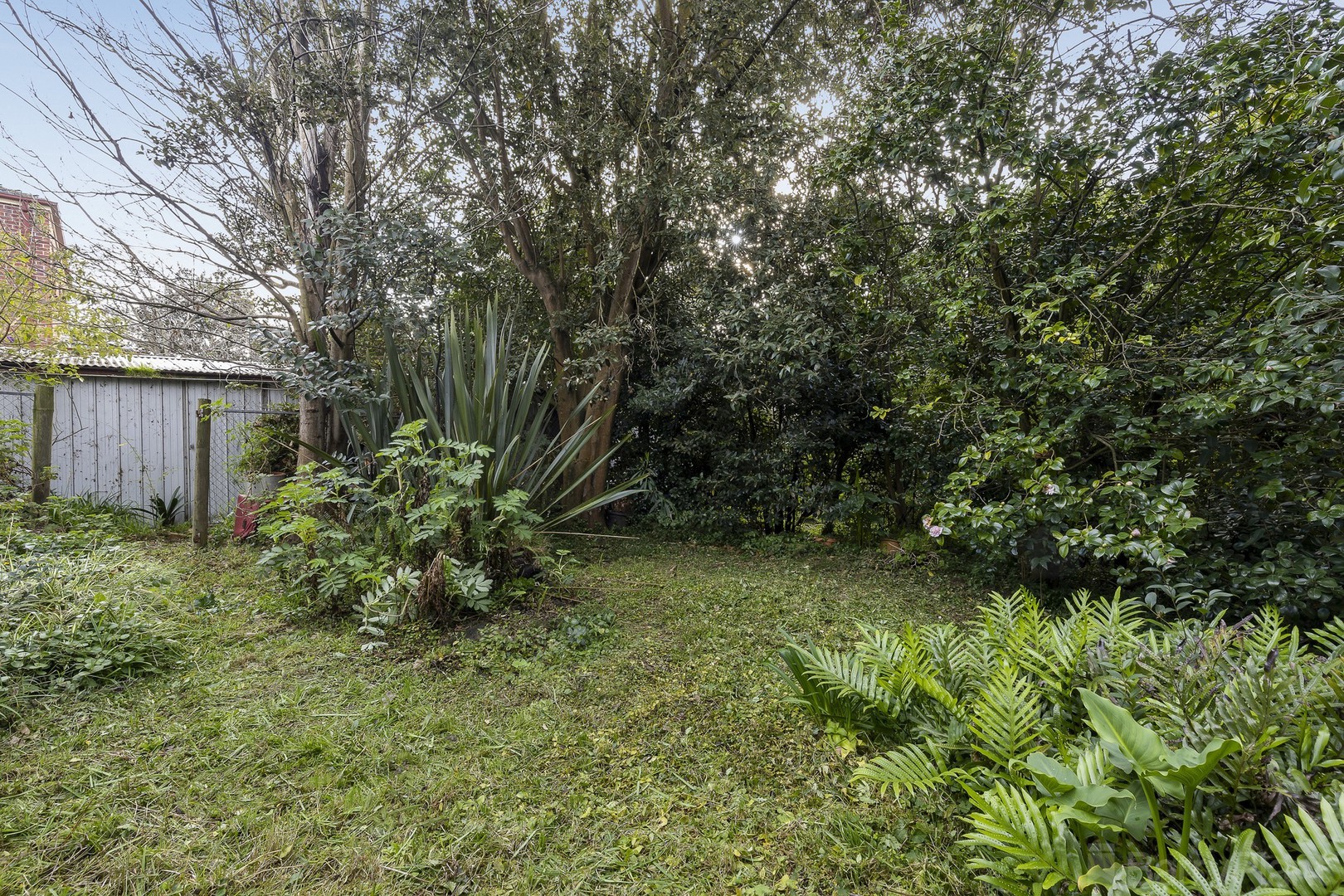 11 Dresden Avenue, Heathmont, VIC 3135, Heathmont - Thumbnail 8