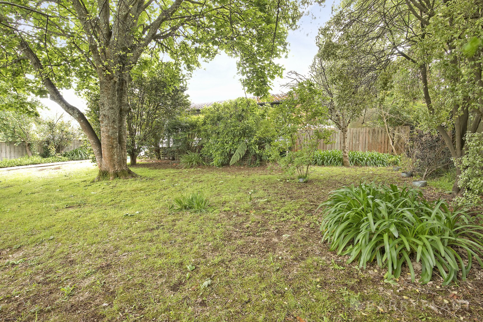 11 Durban Road, Emerald, VIC 3782, Emerald - Thumbnail 4