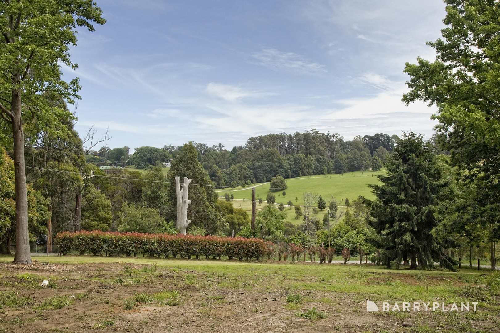11 Hamilton Road, Emerald, VIC 3782, Emerald - Thumbnail 5
