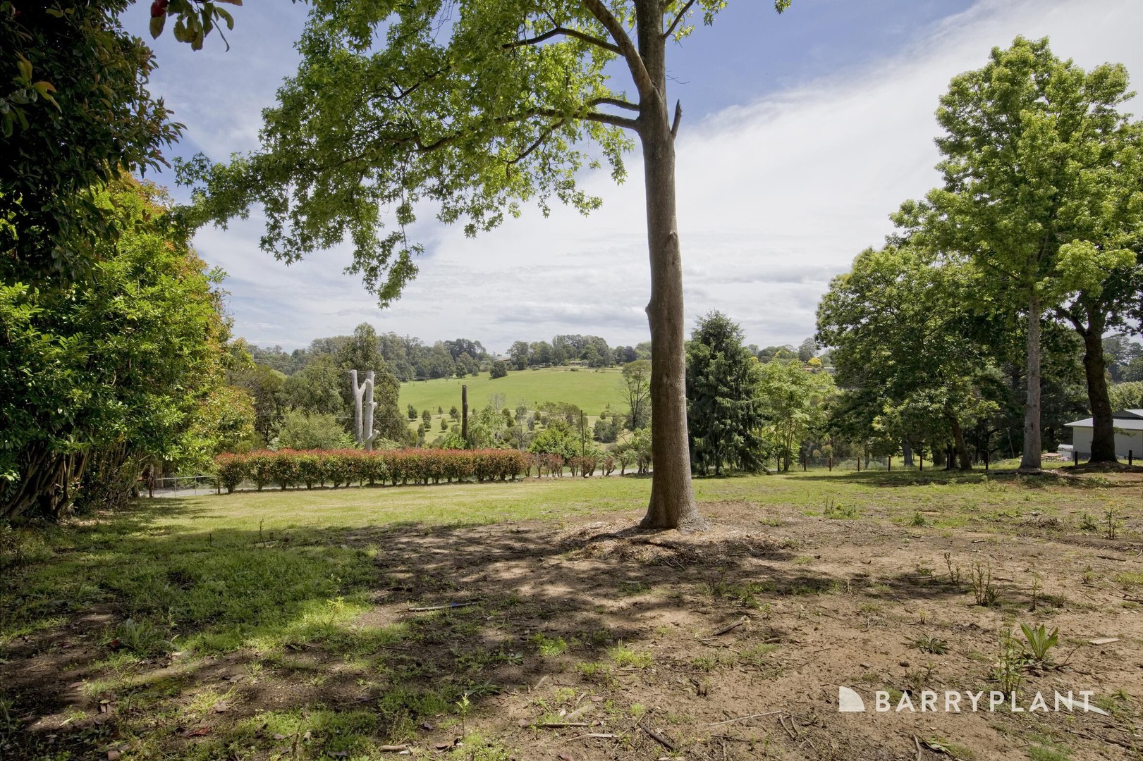 11 Hamilton Road, Emerald, VIC 3782, Emerald - Thumbnail 6