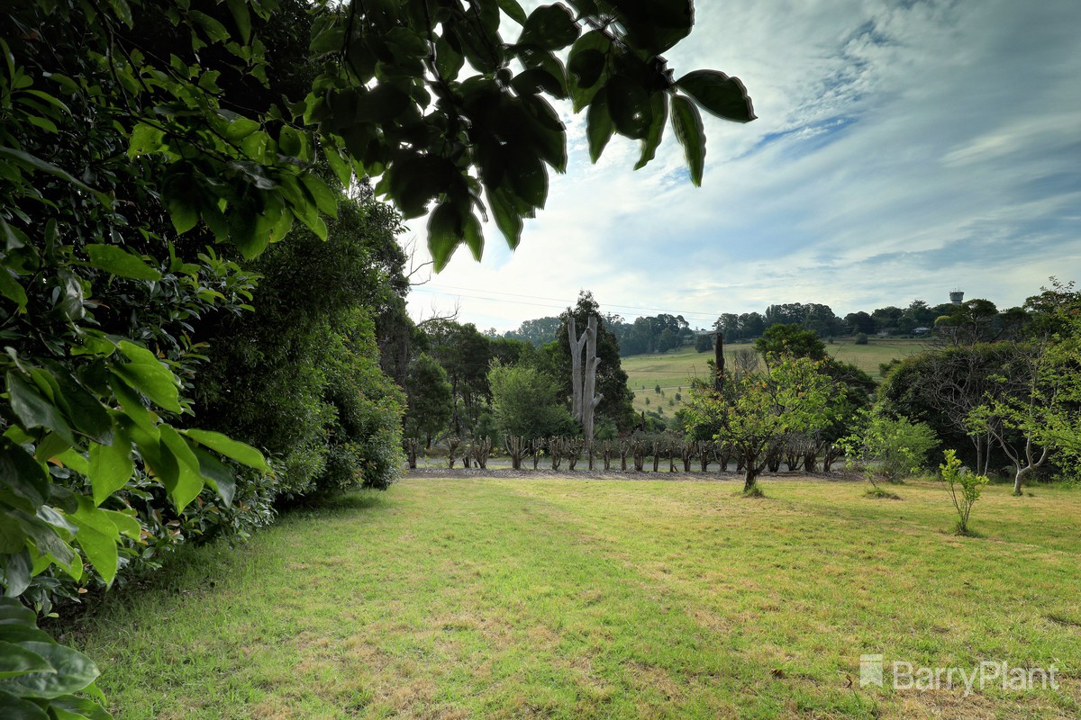 11 Hamilton Road, Emerald, VIC 3782, Emerald - Thumbnail 2