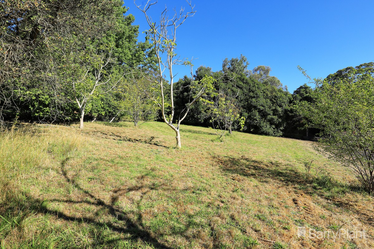 11 Hamilton Road, Emerald, VIC 3782, Emerald - Thumbnail 3