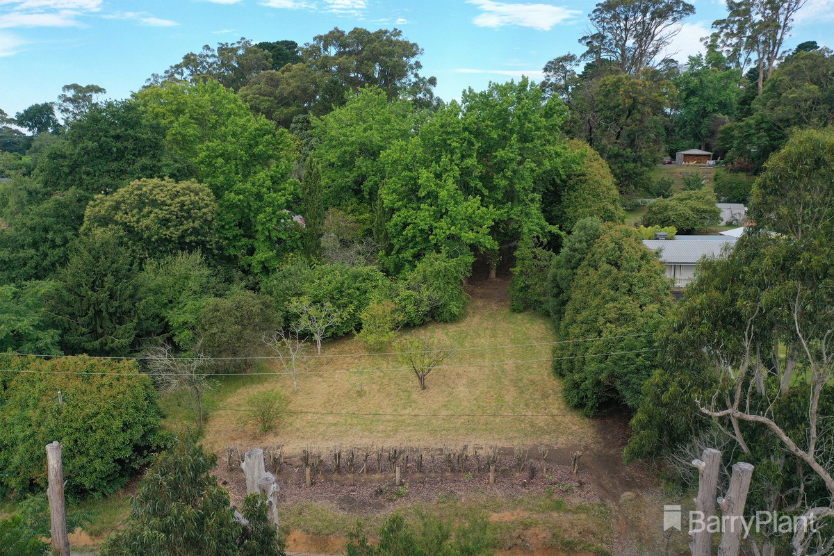 11 Hamilton Road, Emerald, VIC 3782, Emerald - Thumbnail 4