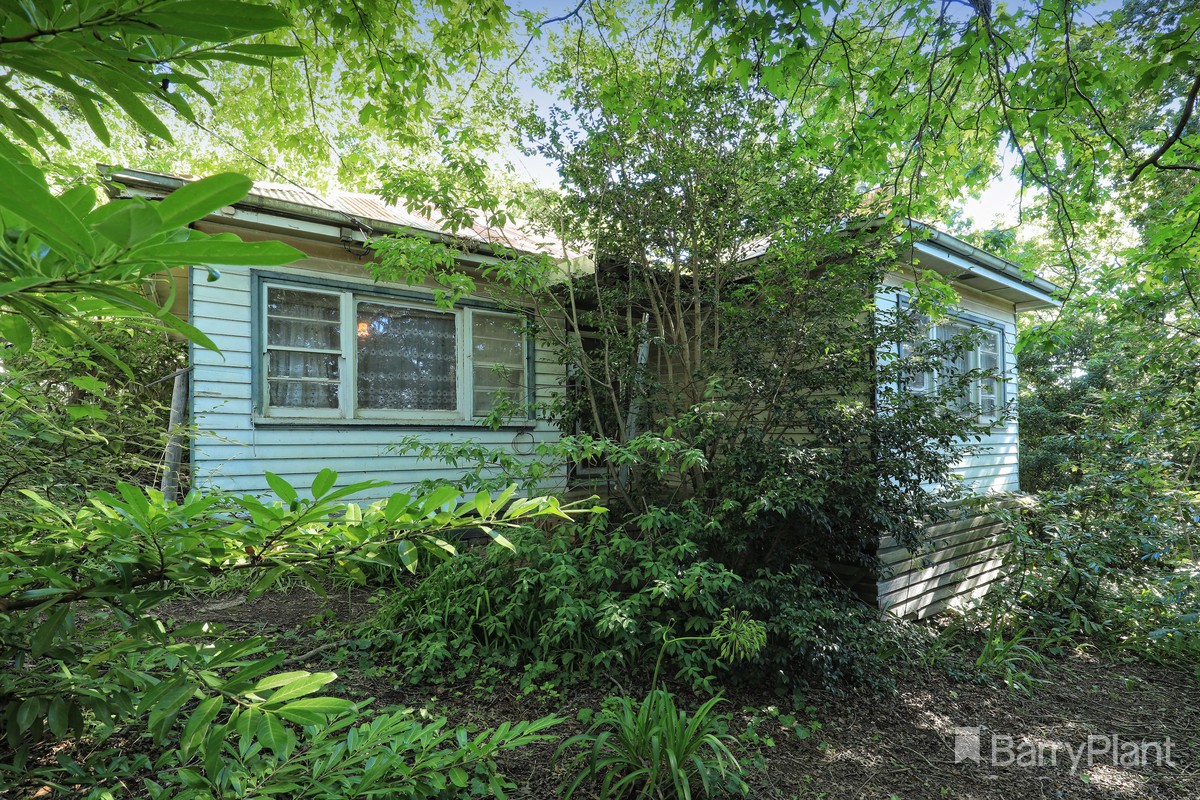11 Hamilton Road, Emerald, VIC 3782, Emerald - Thumbnail 6