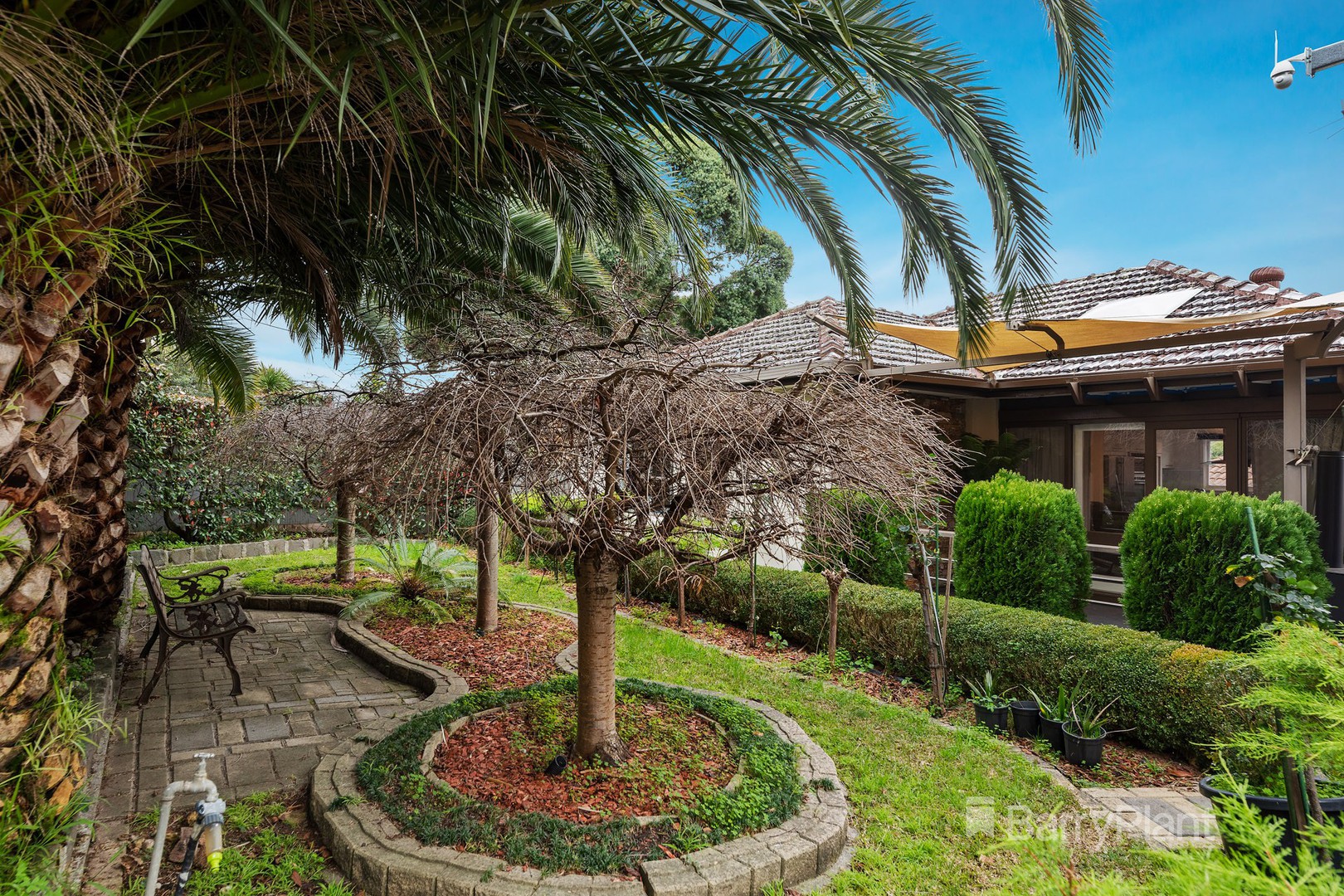 11 Kett Street, Nunawading, VIC 3131, Nunawading - Thumbnail 8