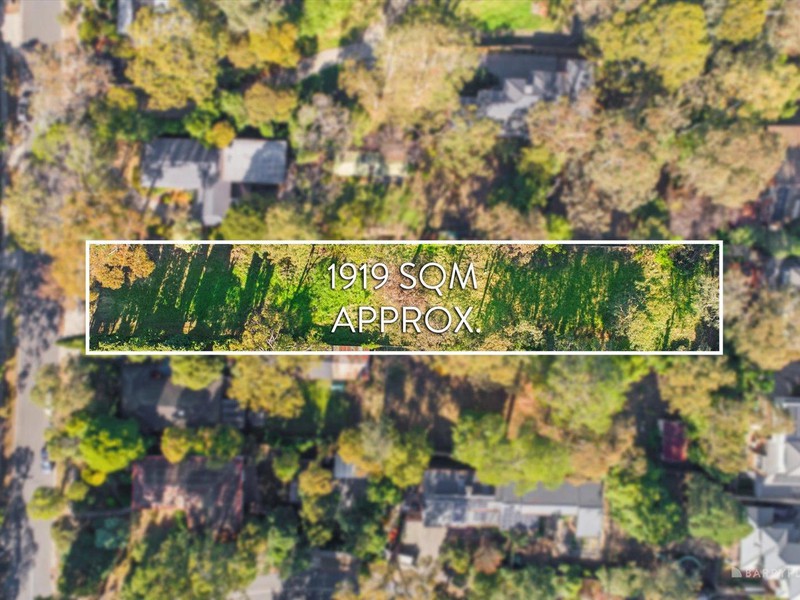 11 Niagara Road, Donvale, VIC 3111 - Image - 22/05/2025