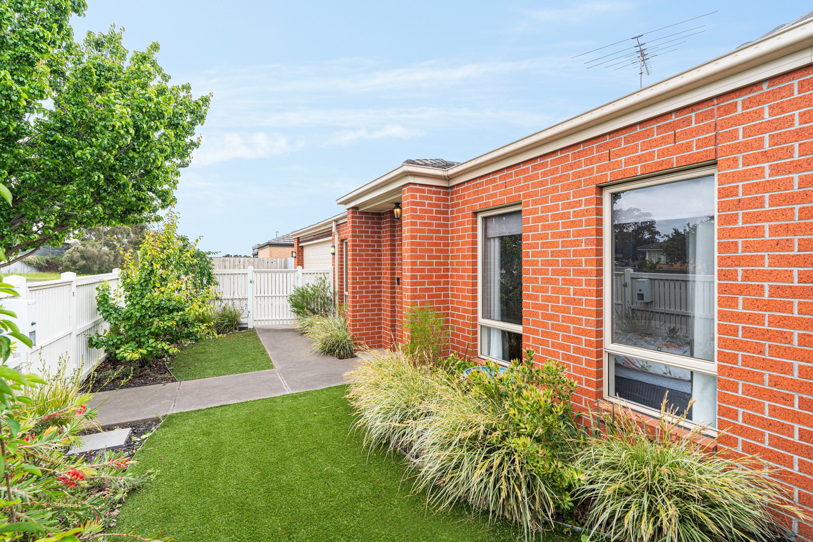 111 Bailey Street, Grovedale, VIC 3216, Grovedale - Thumbnail 2