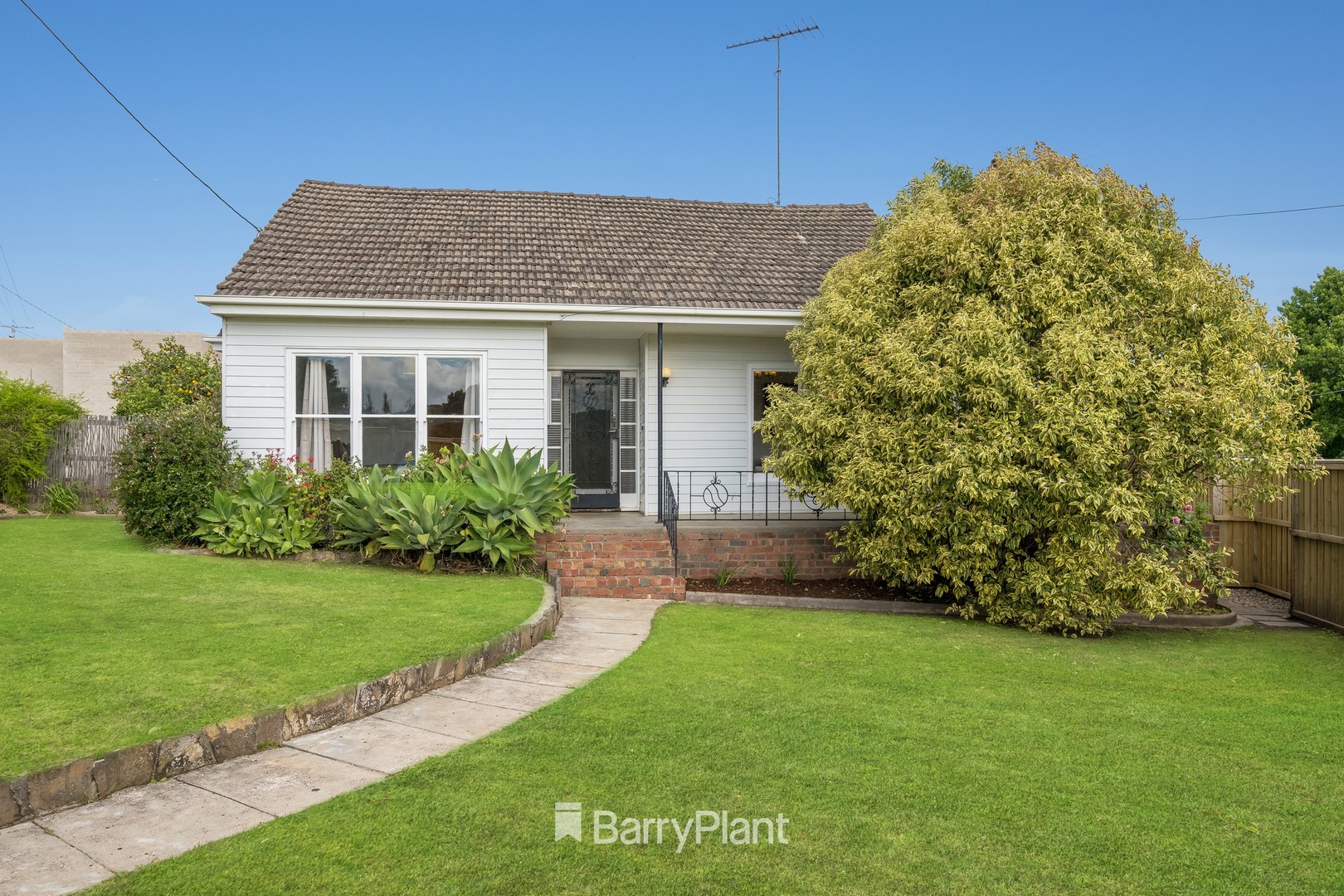 111 Mt Pleasant Road, Belmont, VIC 3216