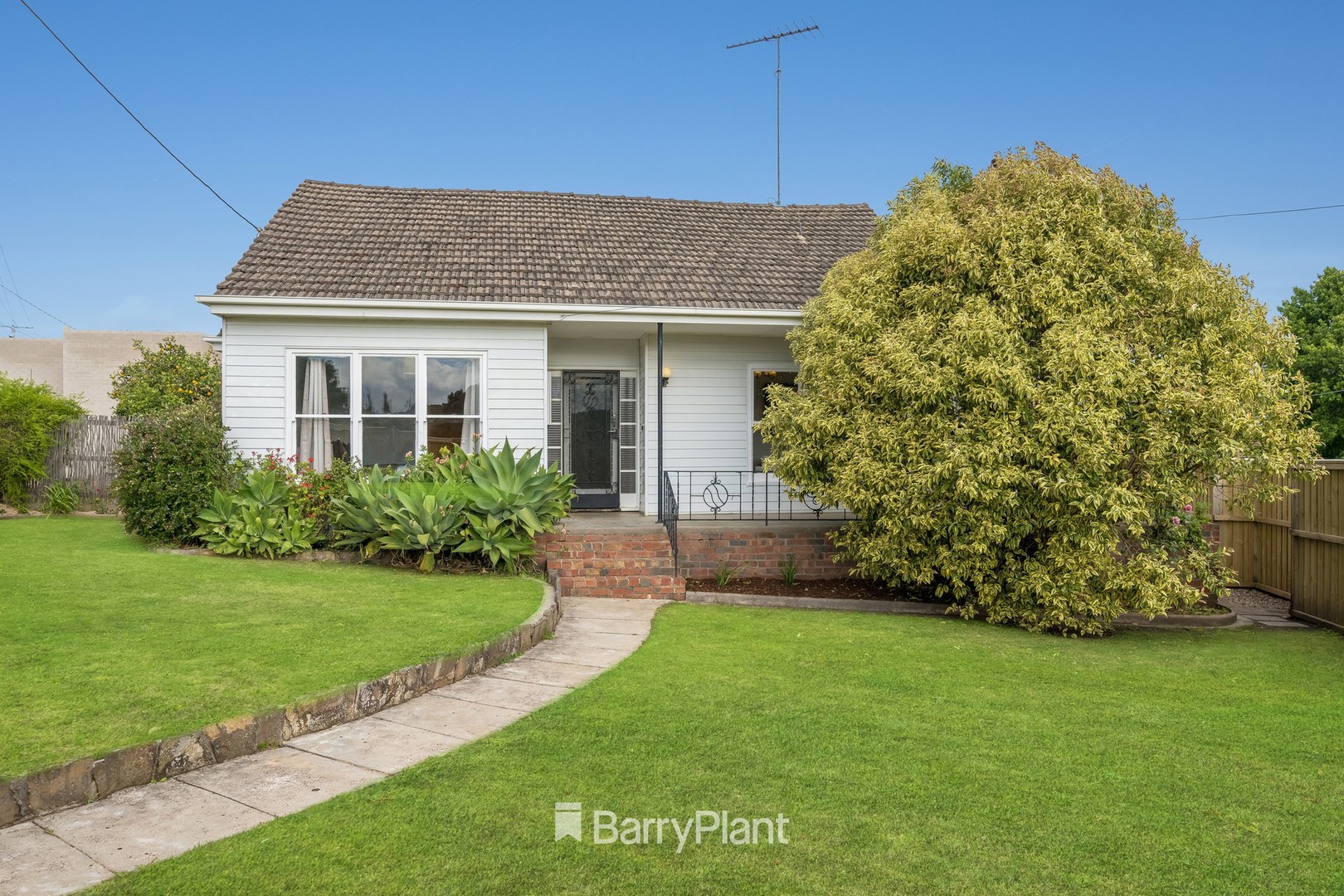 111 Mt Pleasant Road, Belmont, VIC 3216, Belmont - Thumbnail 3