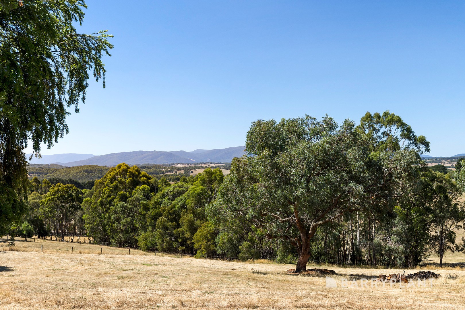 111 Spillers Road, Macclesfield, VIC 3782 - Thumbnail 2 - 20/02/2026