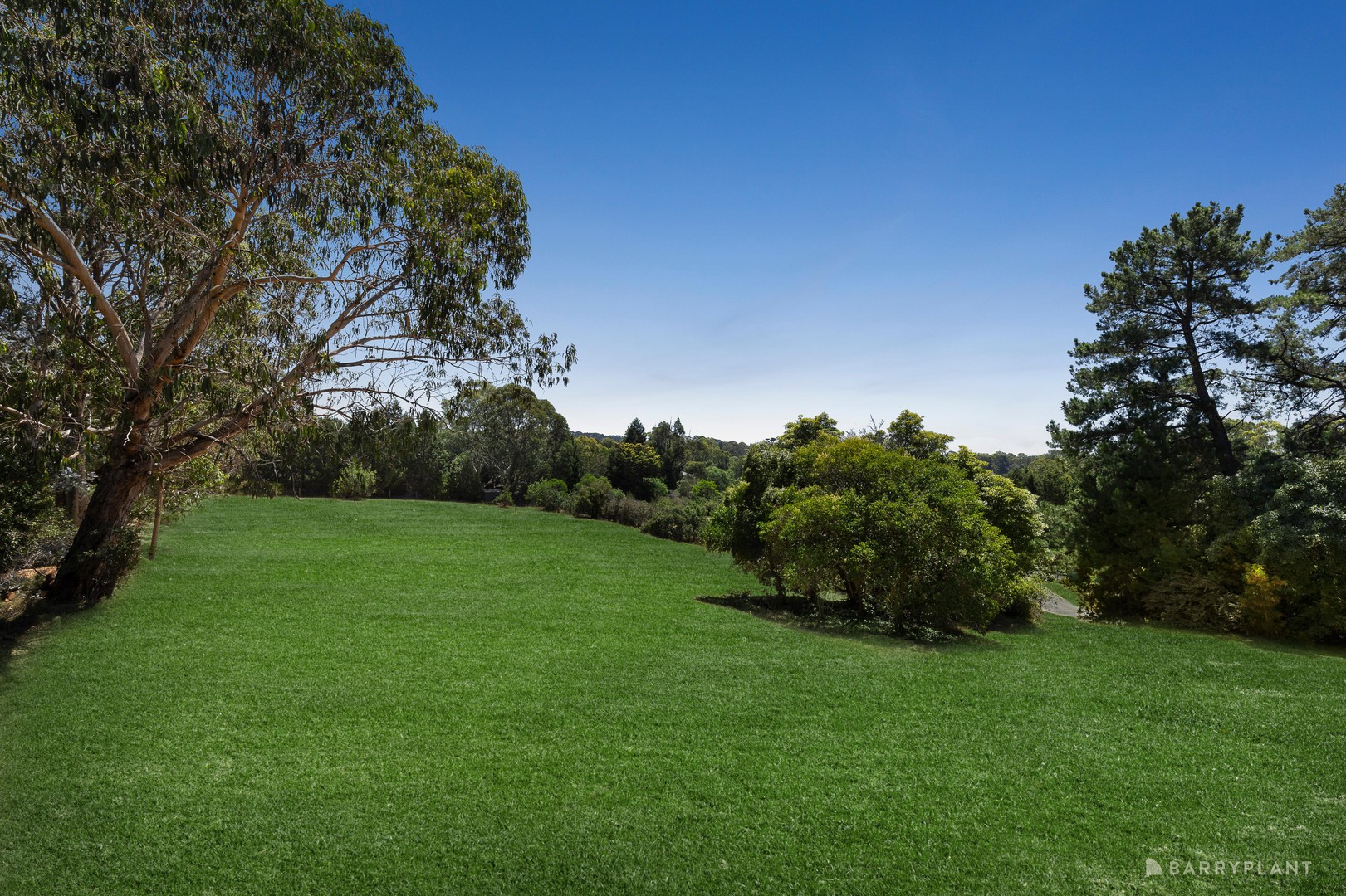 113-117 Park Road, Donvale, VIC 3111, Donvale - Thumbnail 5