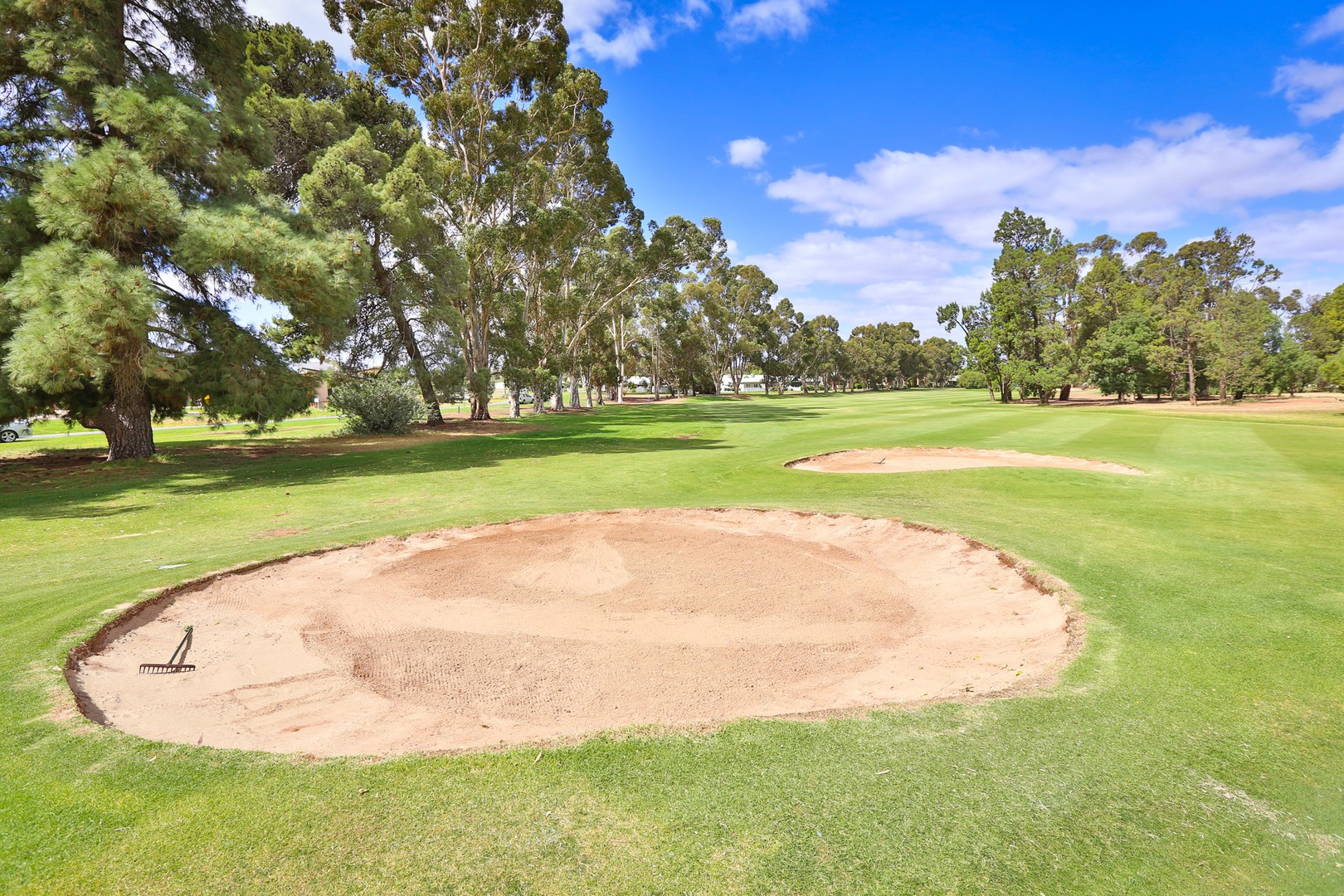 113 Fairways Drive, Mildura, VIC 3500, Mildura - Thumbnail 5