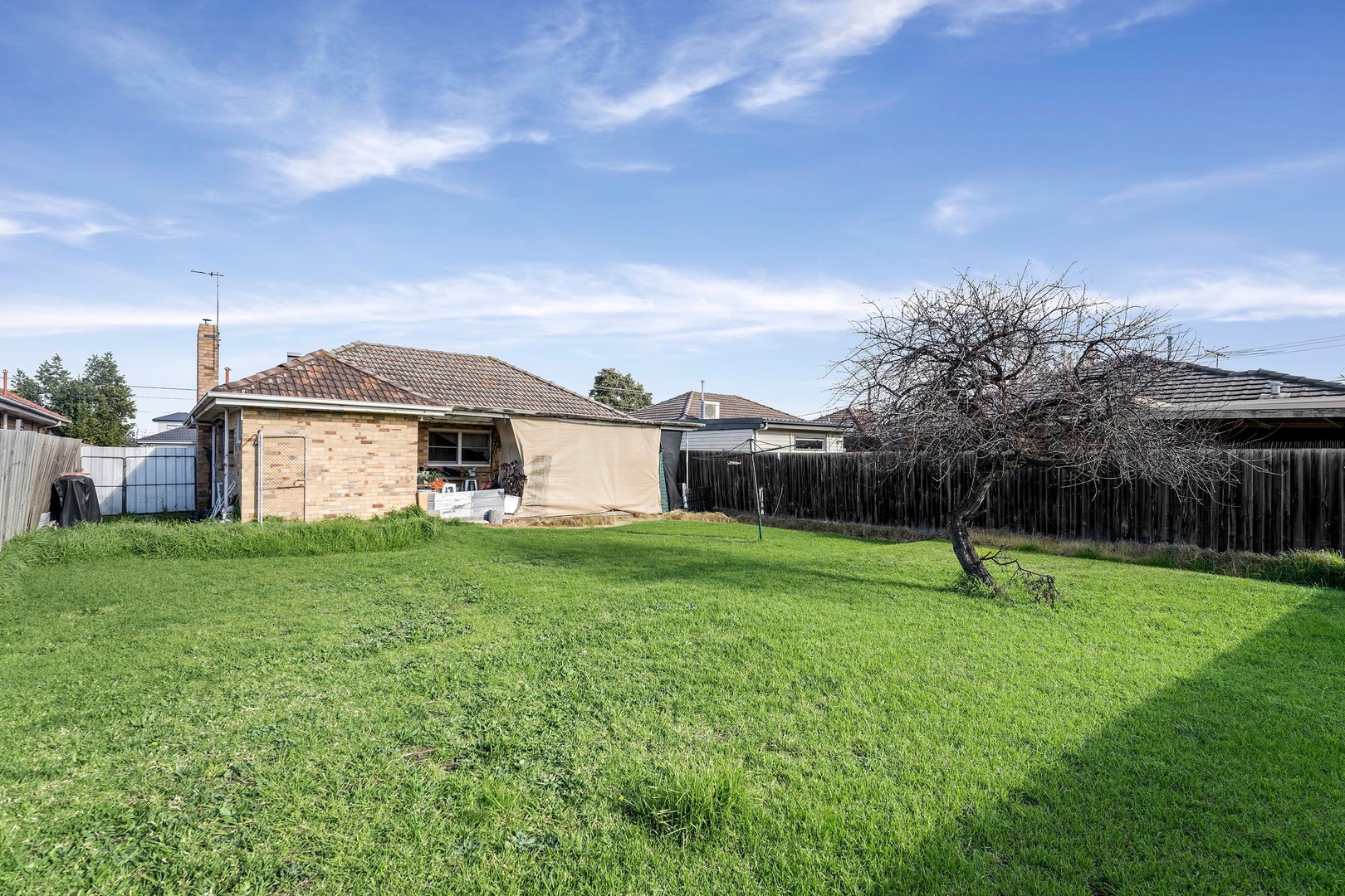 116 Halsey Road, Airport West, VIC 3042, Airport West - Thumbnail 8