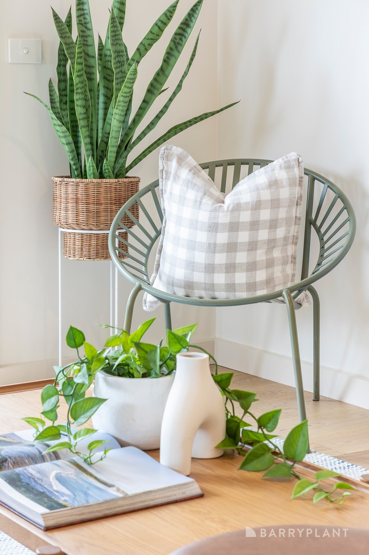 12/121 Mcdonald Street, Mordialloc, VIC 3195, Mordialloc - Thumbnail 4