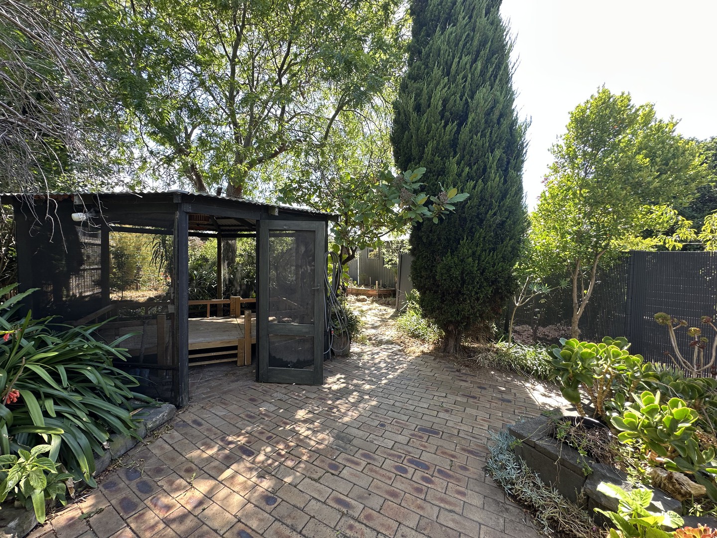 12 Bakewell Street, Herne Hill, VIC 3218, Herne Hill - Thumbnail 8