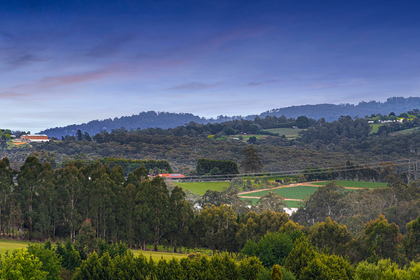 12 Barrowby Avenue, Woori Yallock, VIC 3139, Woori Yallock - Thumbnail 2
