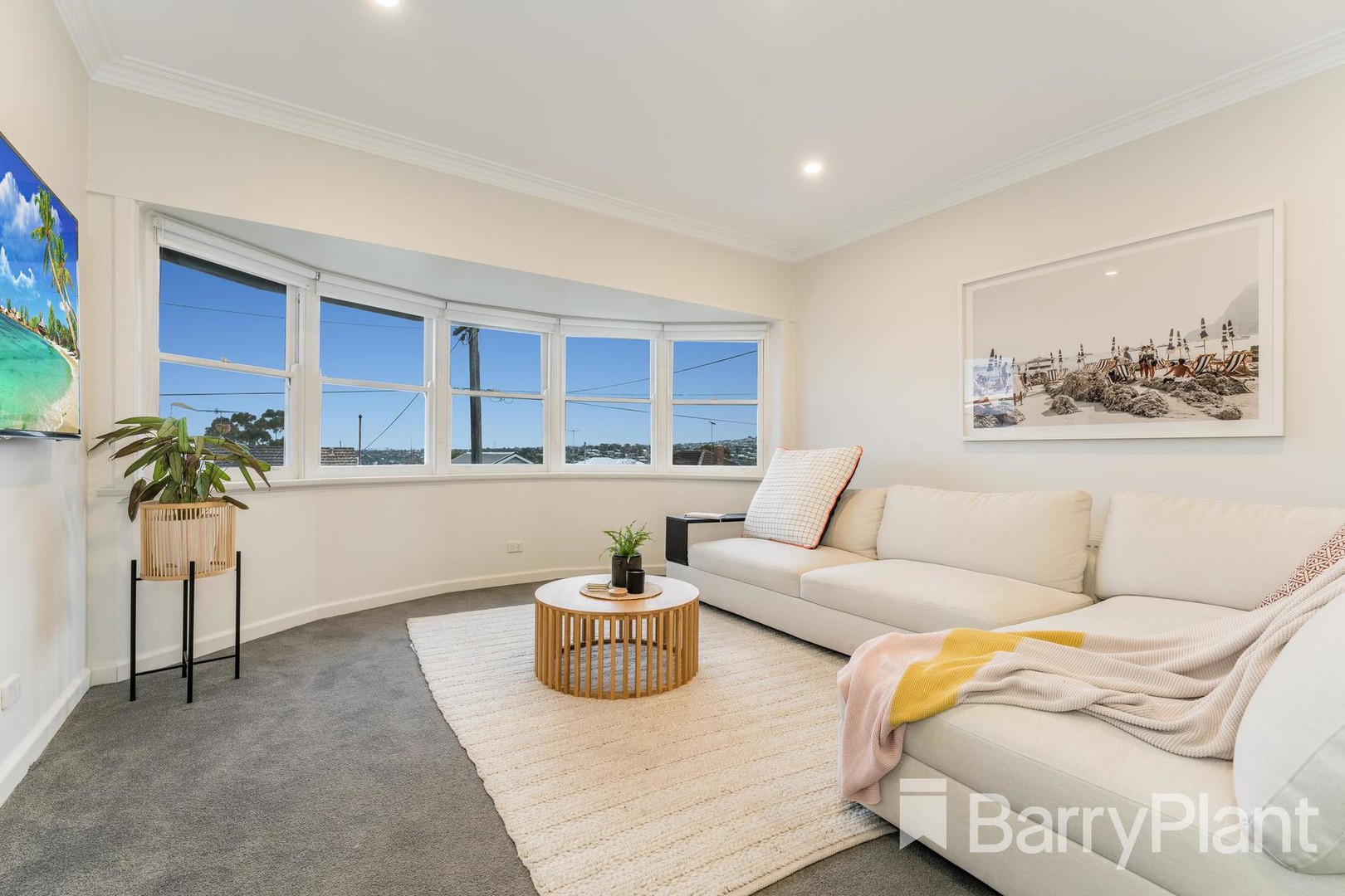 12 Brice AvenueNewtown, VIC 3220, Newtown - Thumbnail 2