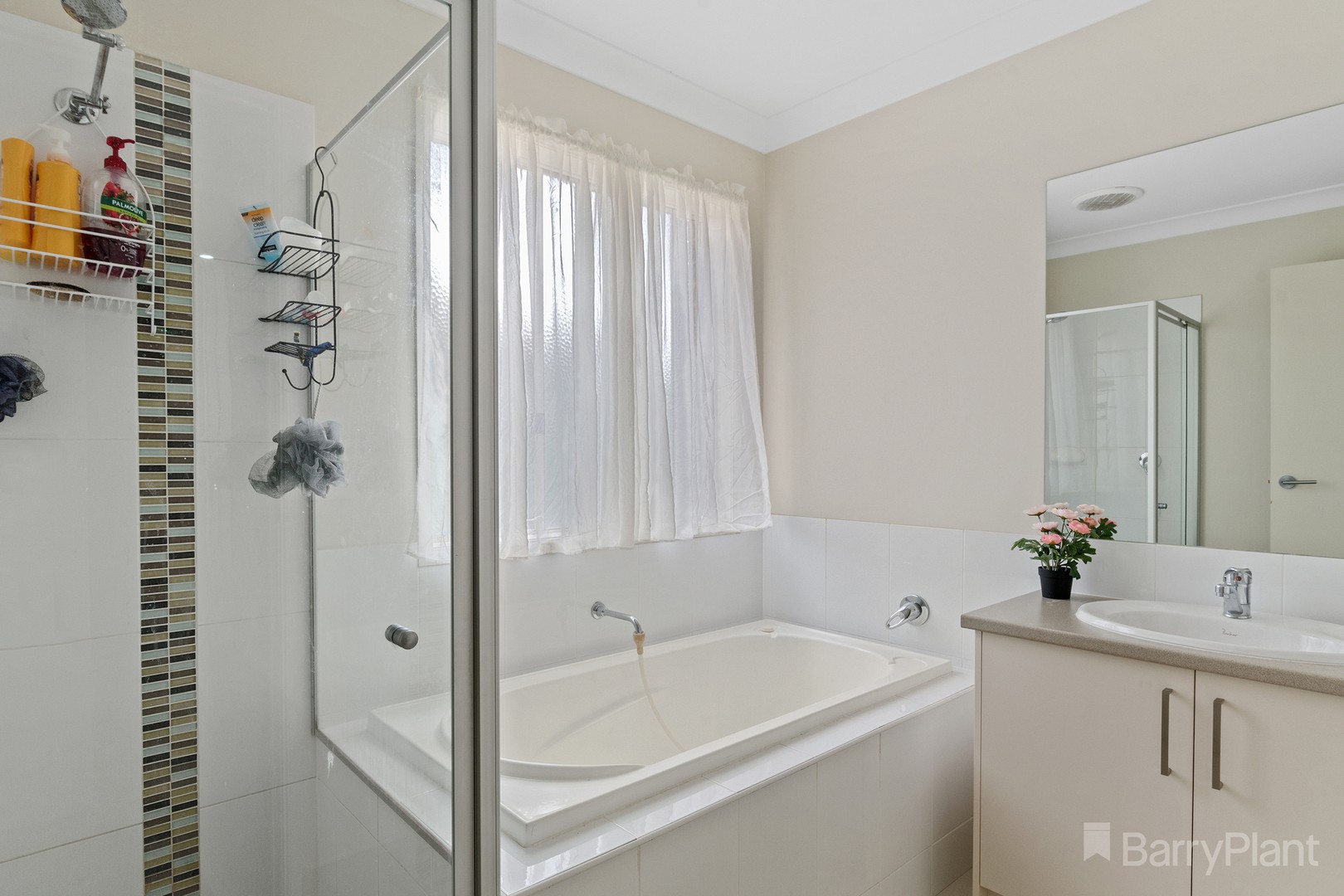 12 Caulfield DriveAscot, VIC 3551, Ascot - Thumbnail 5