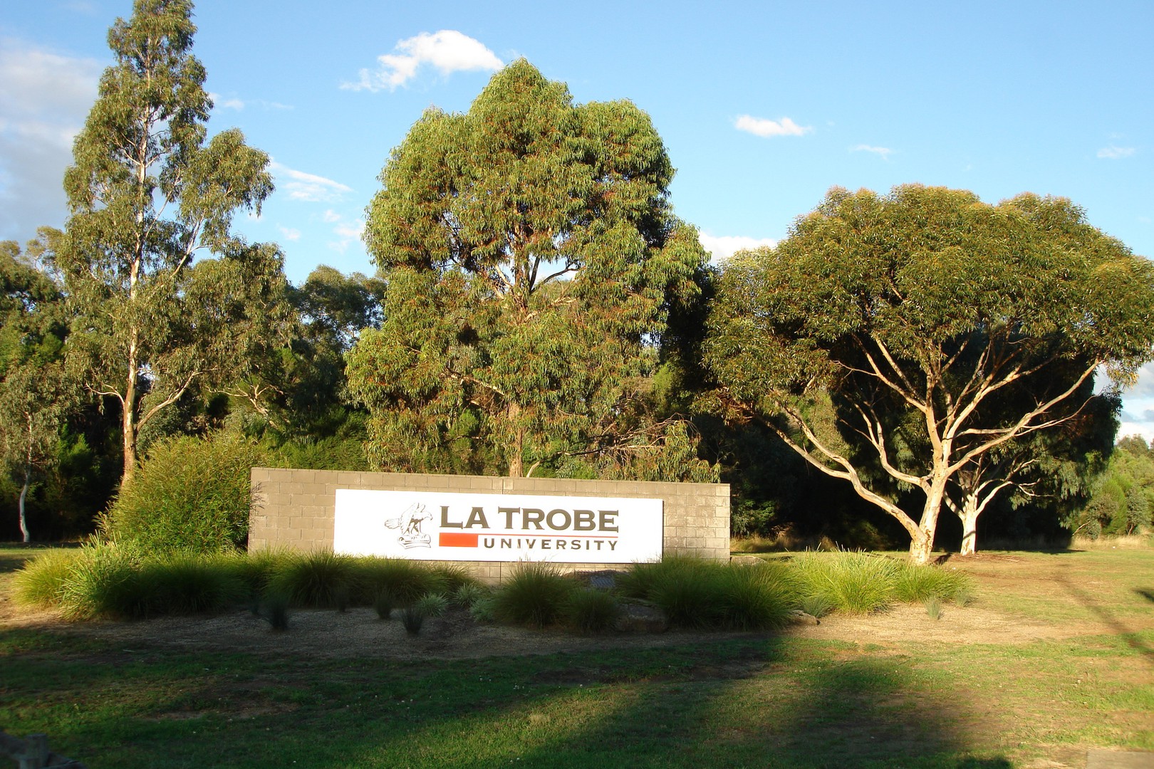 12 Highland Street, Kingsbury, VIC 3083, Kingsbury - Thumbnail 7