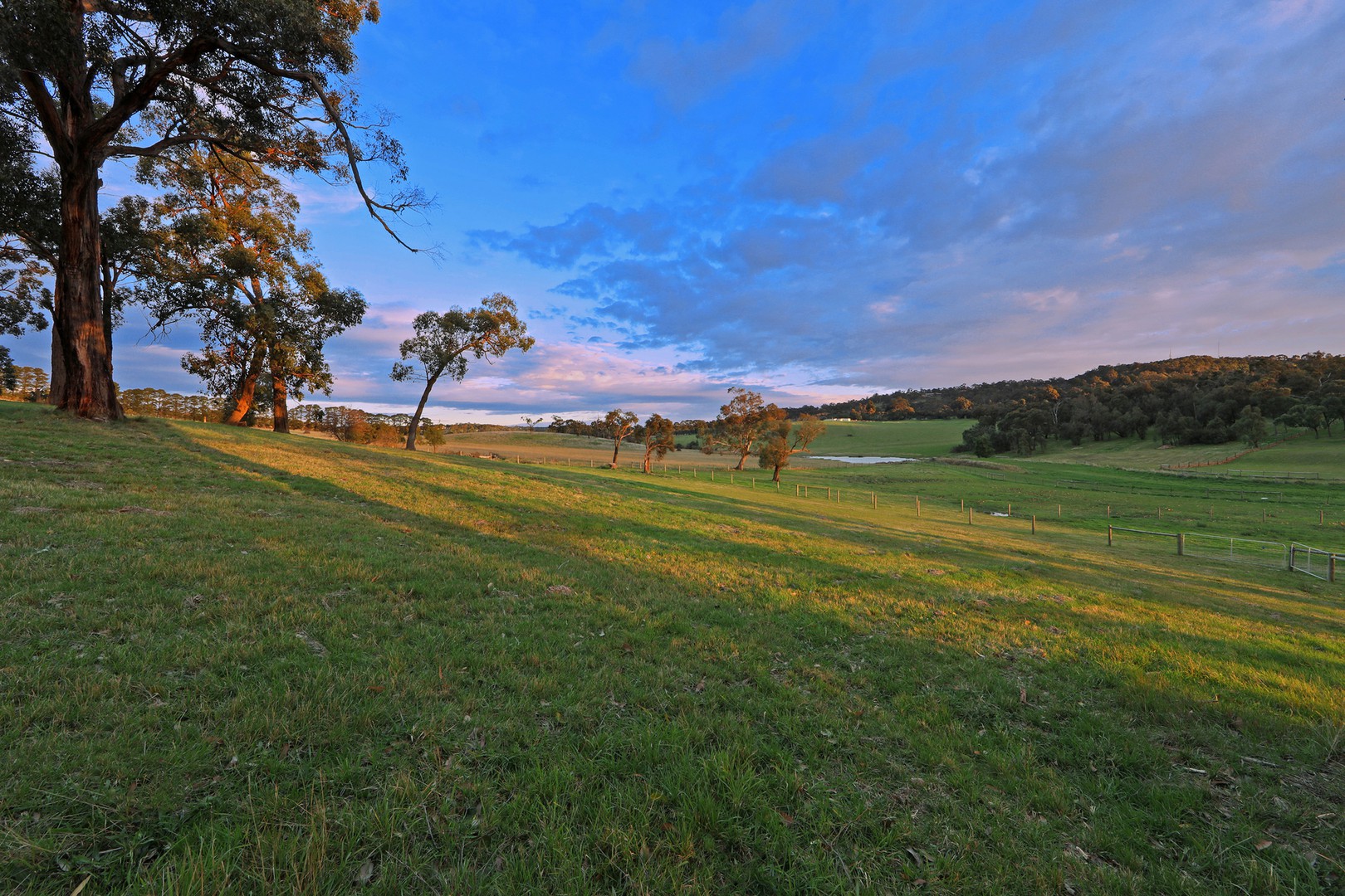 12 Langley Court, Lysterfield, VIC 3156, Lysterfield - Thumbnail 5