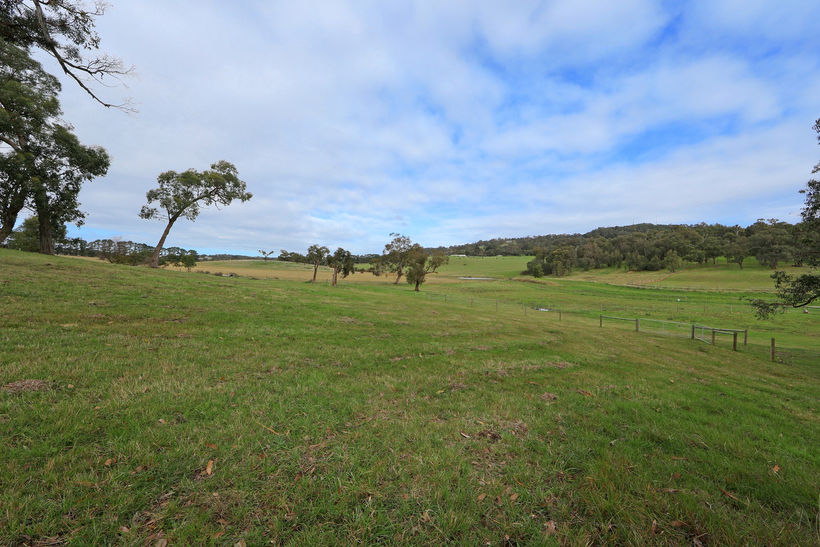 12 Langley Court, Lysterfield, VIC 3156, Lysterfield - Thumbnail 7