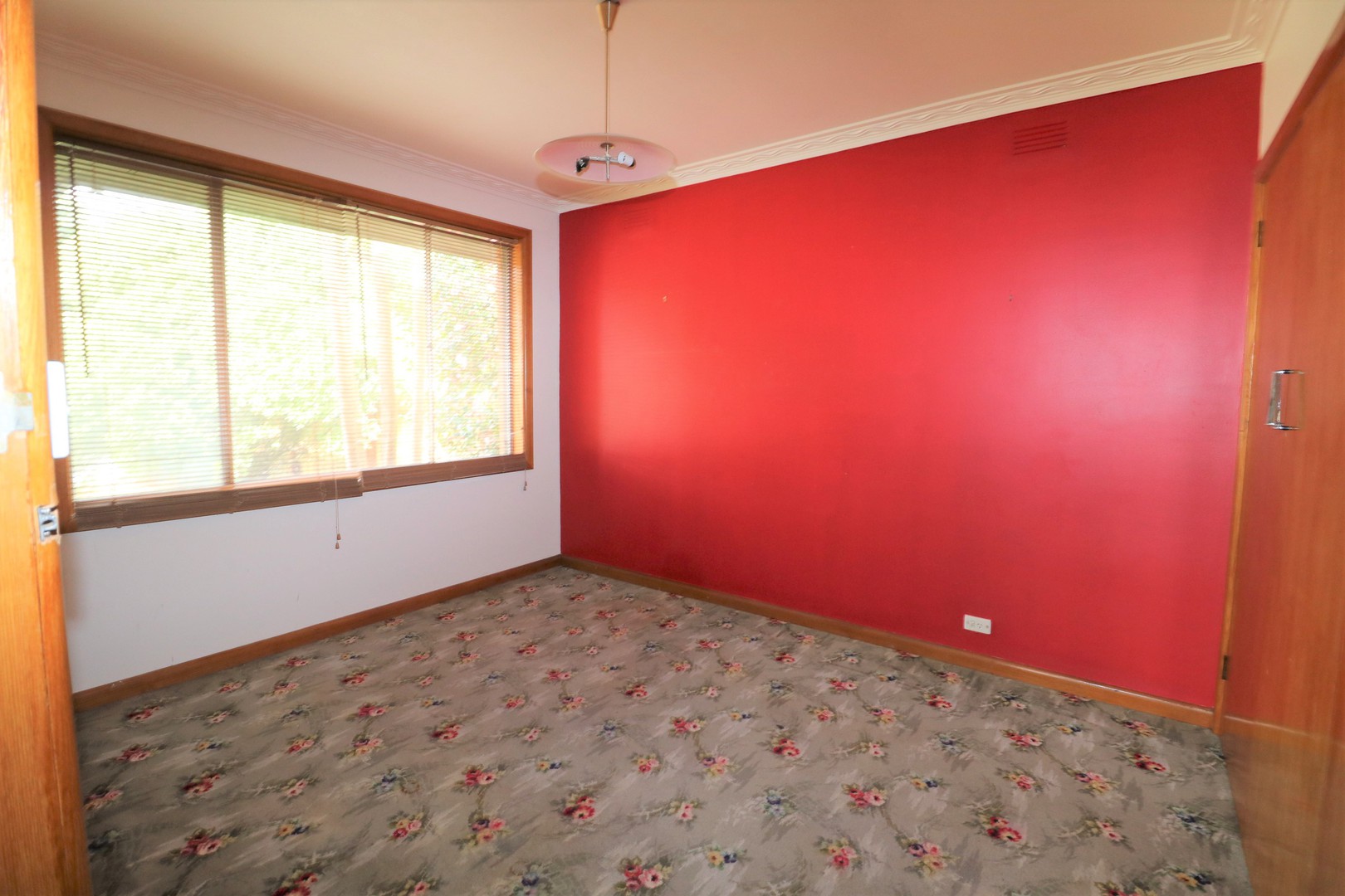 12 Mccurdy Road, Herne Hill, VIC 3218, Herne Hill - Thumbnail 4