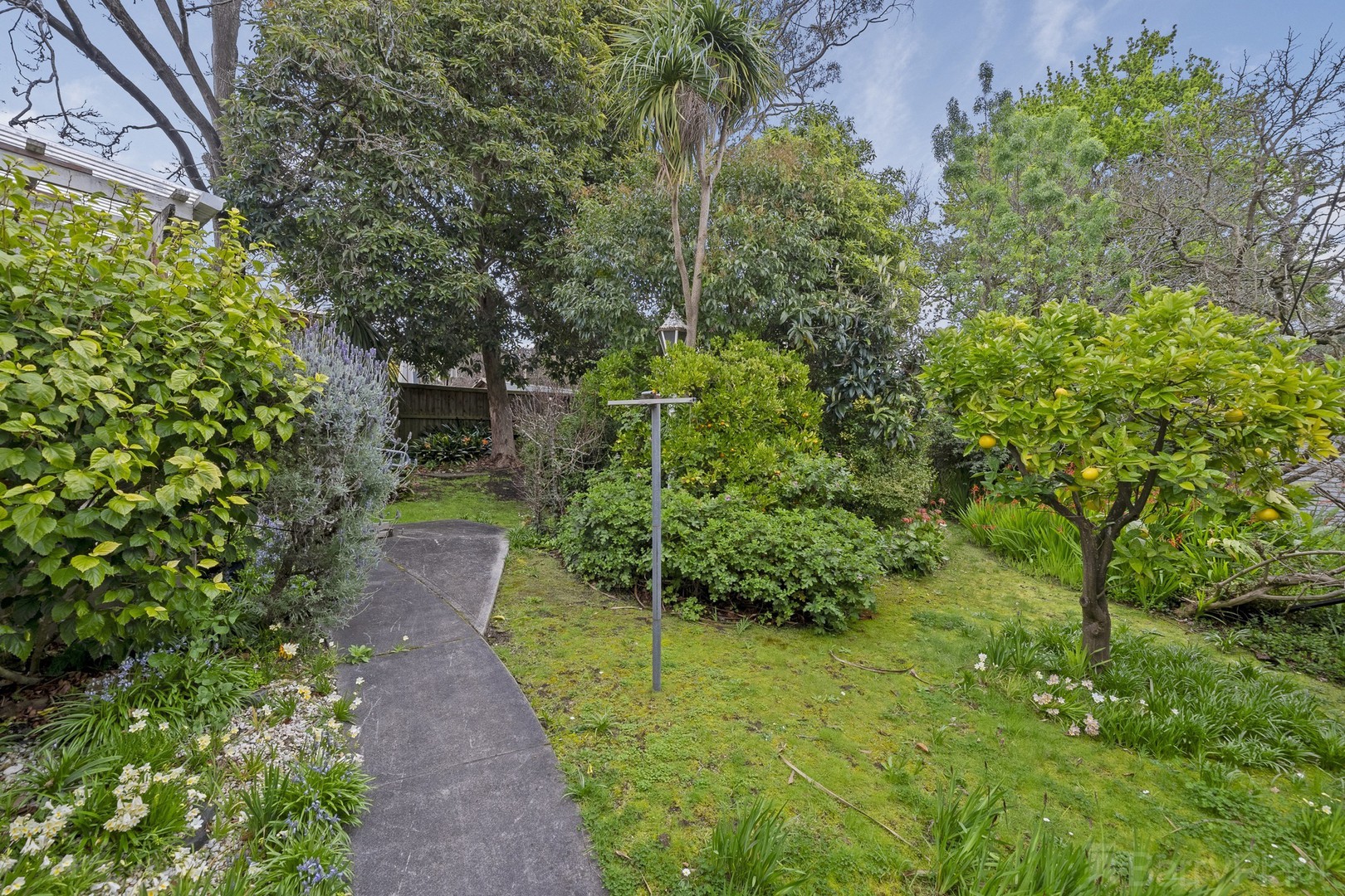 12 Orchid Street, Heathmont, VIC 3135, Heathmont - Thumbnail 6