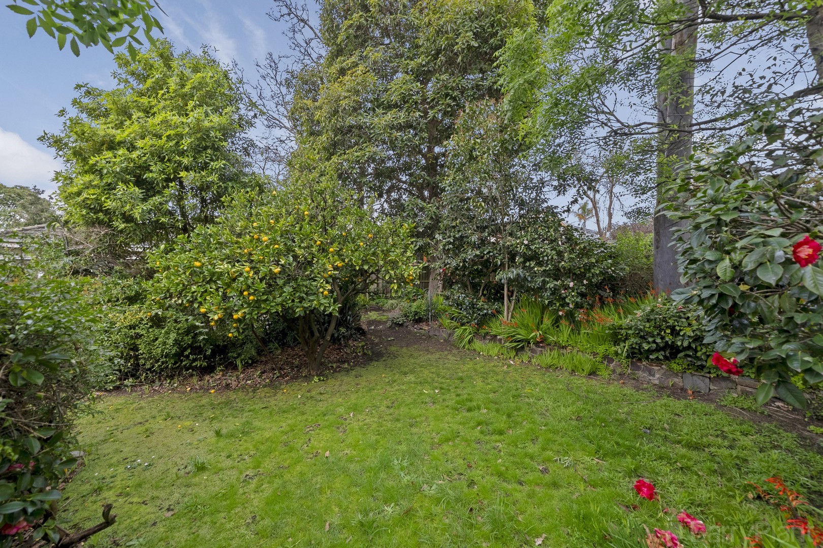 12 Orchid Street, Heathmont, VIC 3135, Heathmont - Thumbnail 7