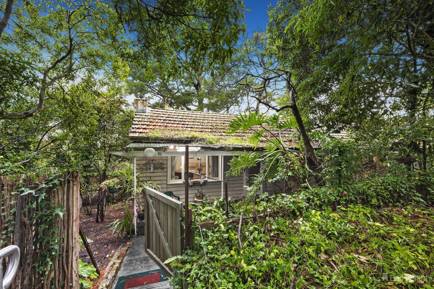 12 Panorama Avenue, Ringwood North, VIC 3134, Ringwood North - Thumbnail 3