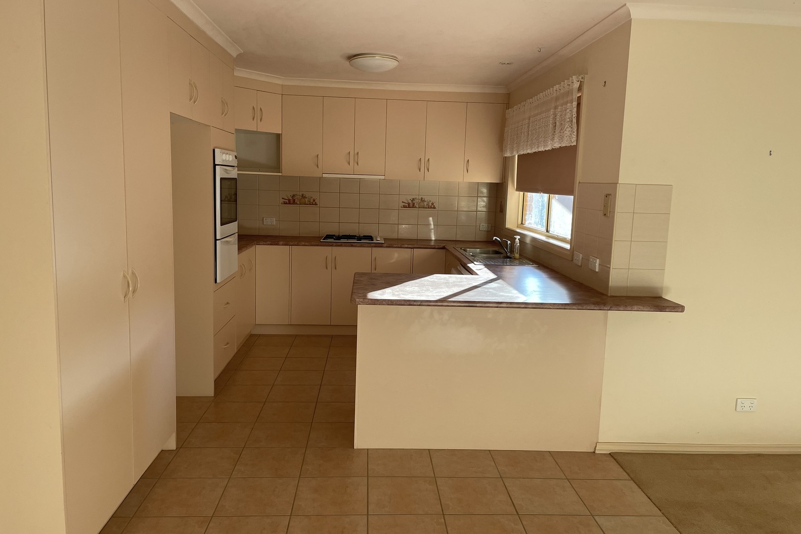 12 Rural Drive, Mildura, VIC 3500, Mildura - Thumbnail 4