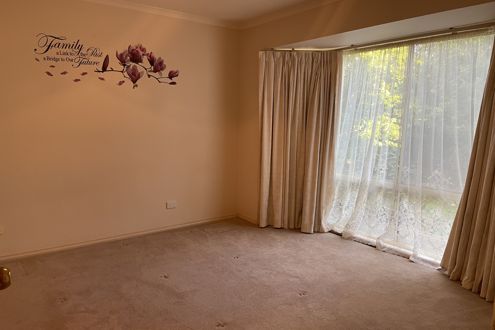 12 Rural Drive, Mildura, VIC 3500, Mildura - Thumbnail 6