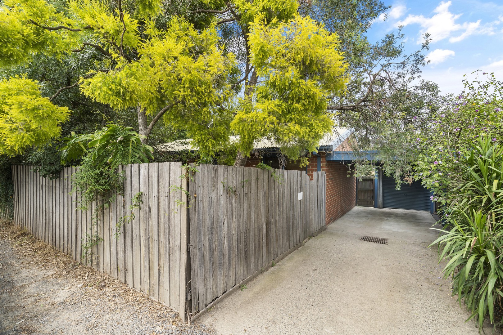 12 Sanders Road, Box Hill, VIC 3128, Box Hill - Thumbnail 2