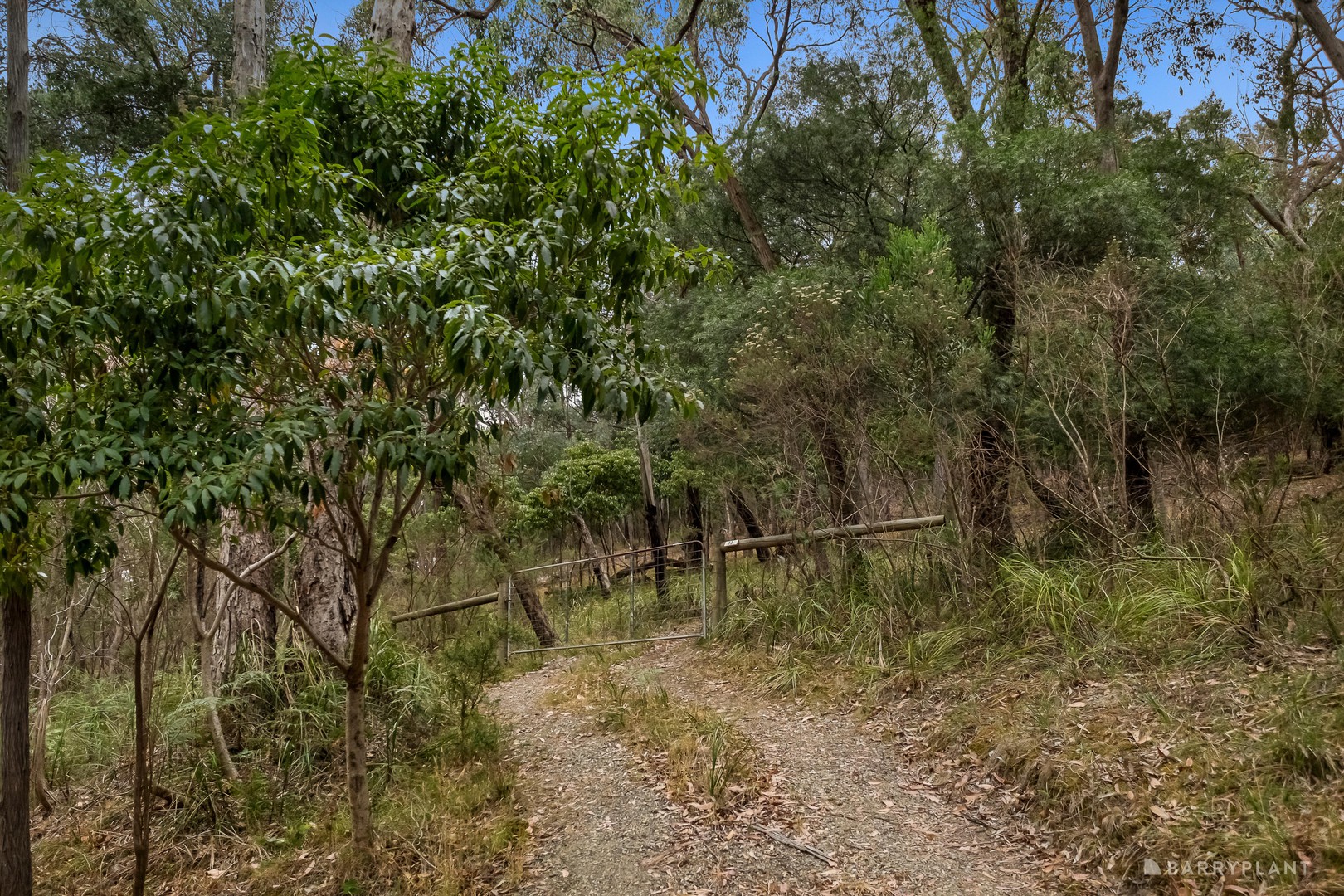 12 Valley Road, Wonga Park, VIC 3115 - Thumbnail 2 - 19/02/2026