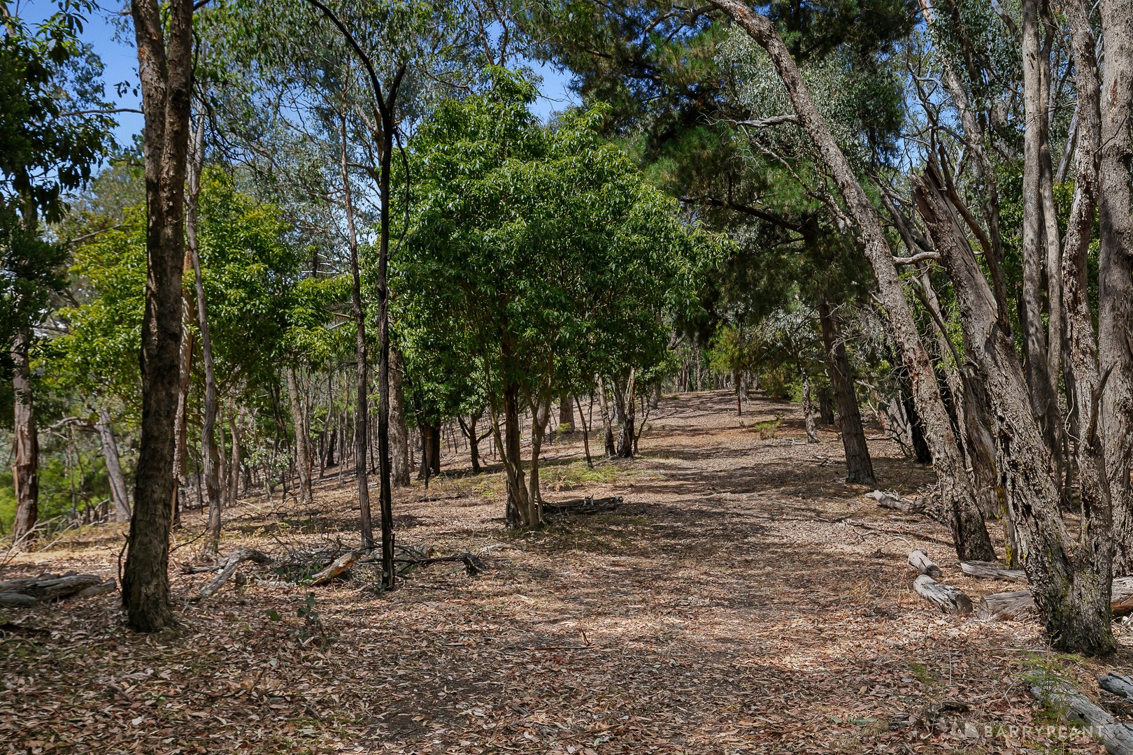 12 Valley Road, Wonga Park, VIC 3115, Wonga Park - Thumbnail 5