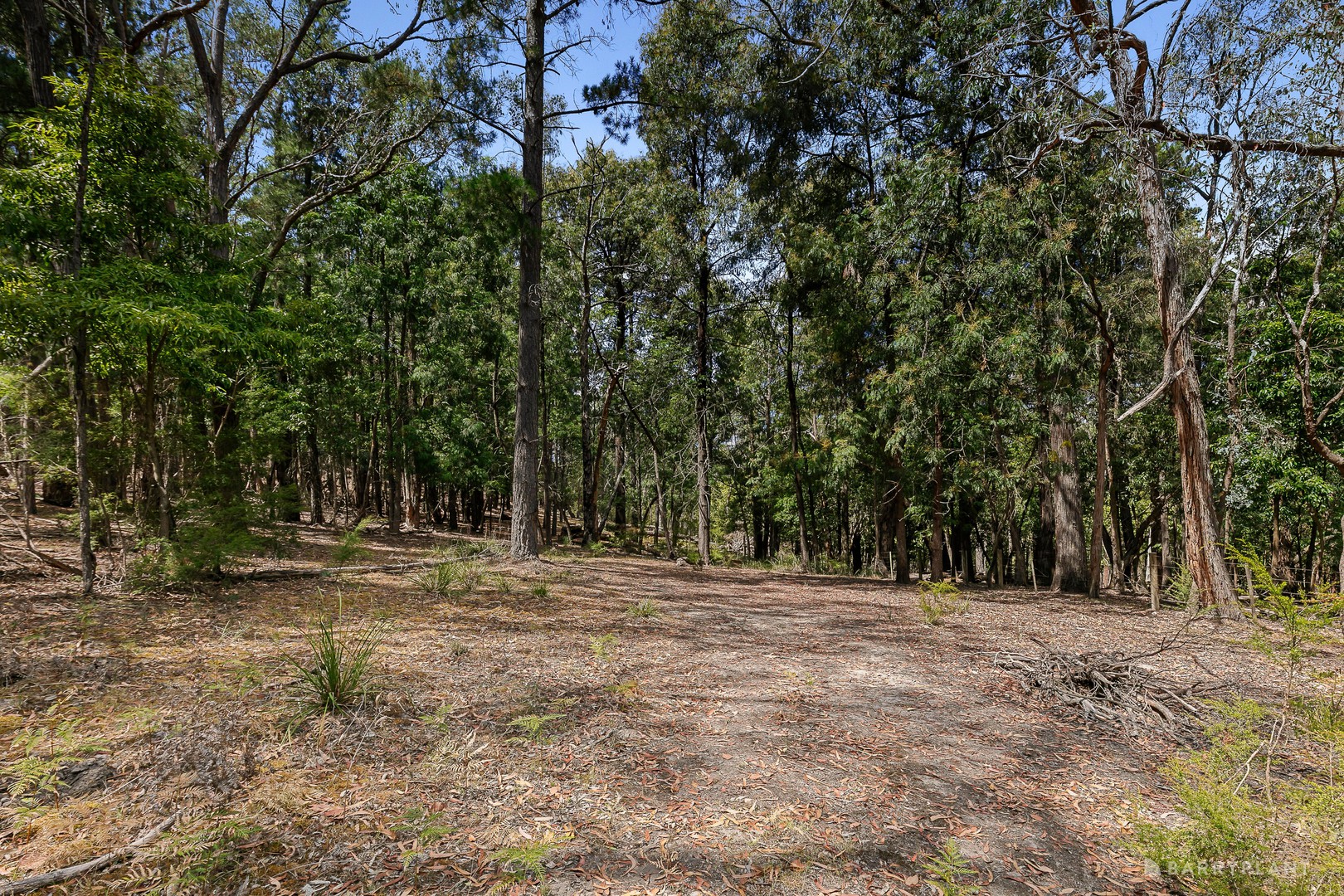 12 Valley Road, Wonga Park, VIC 3115, Wonga Park - Thumbnail 6