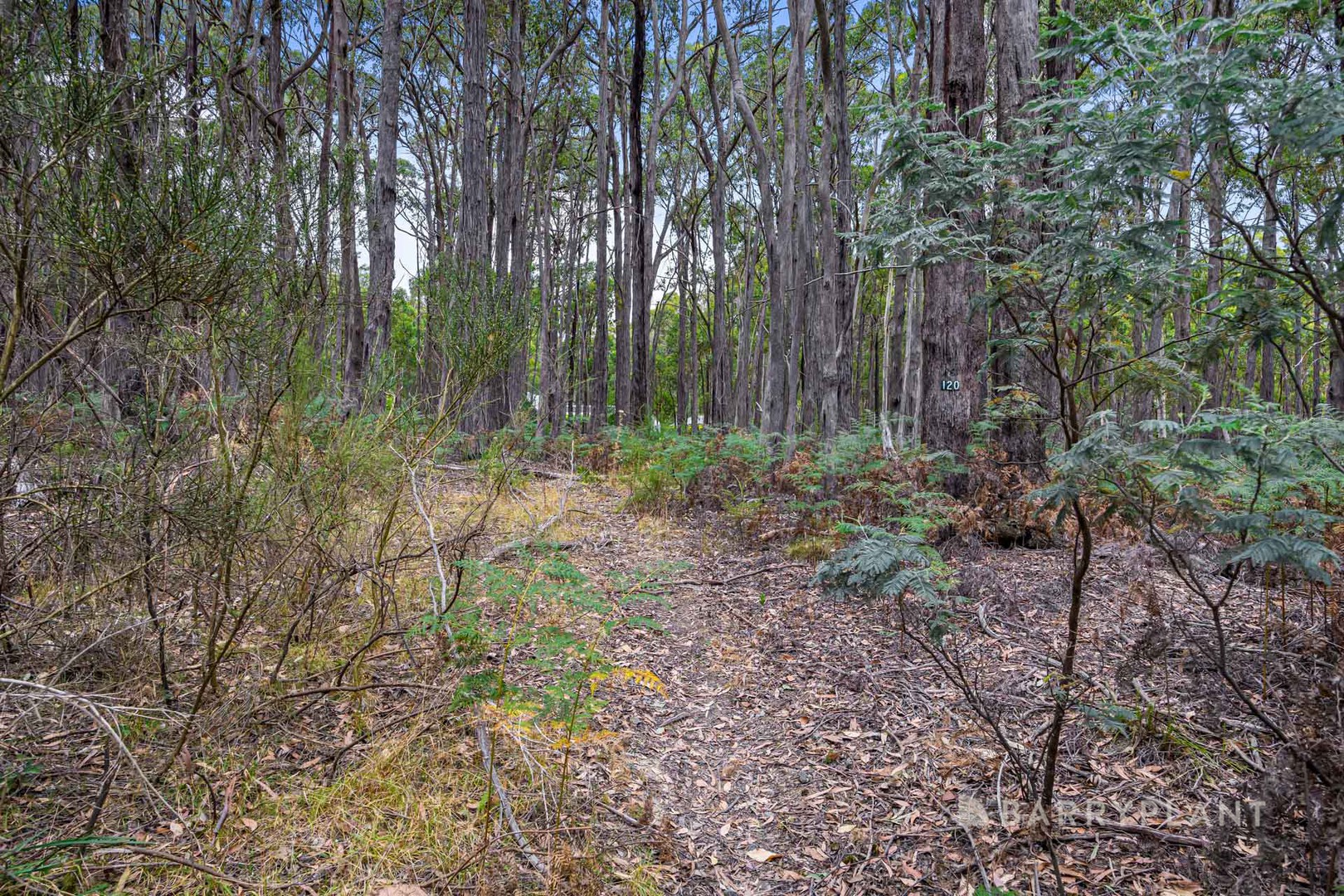 120 Lightwood Drive, Wheatsheaf, VIC 3461, Wheatsheaf - Thumbnail 4