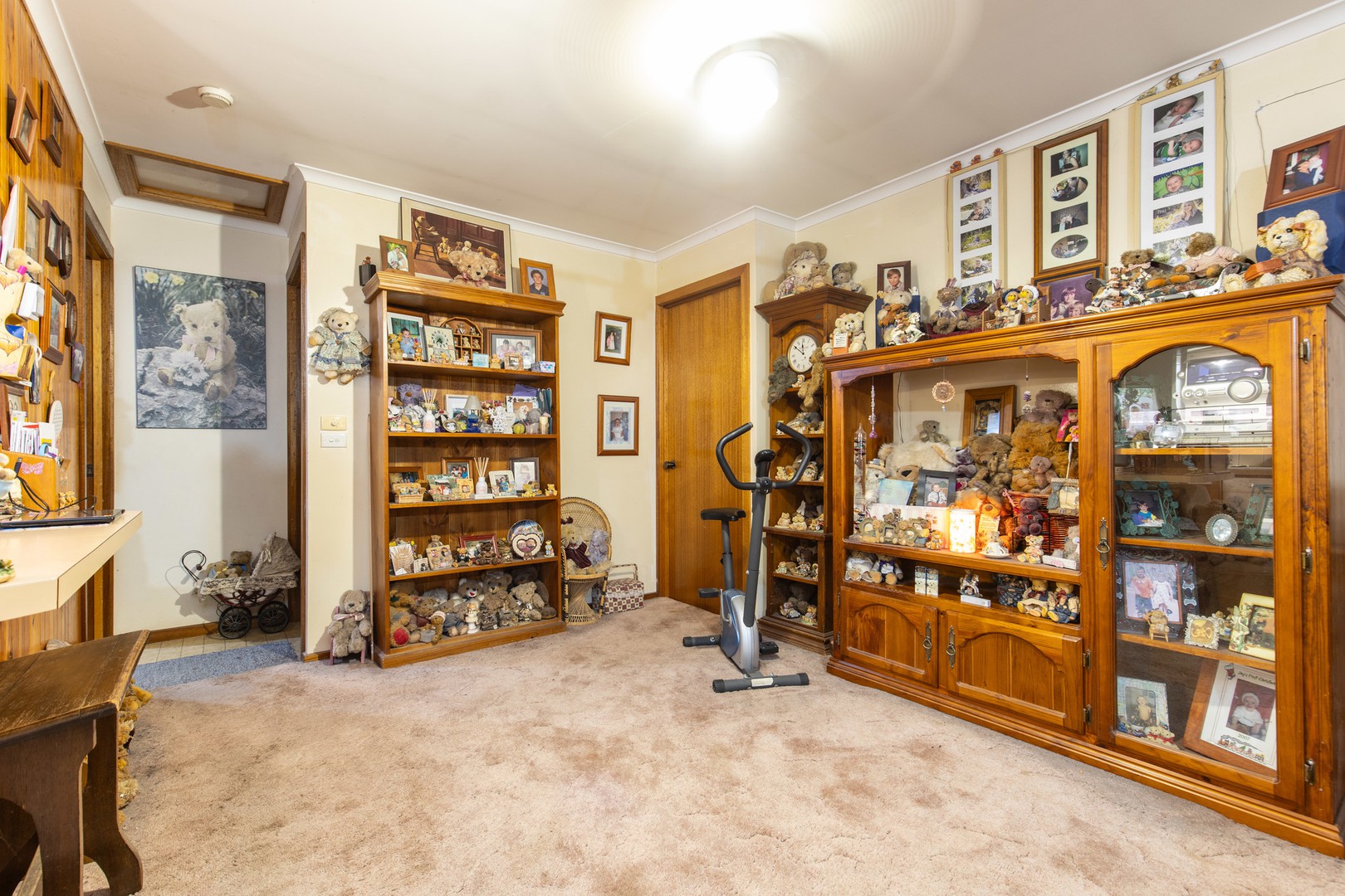 120 Walnut Avenue, Mildura, VIC 3500, Mildura - Thumbnail 4