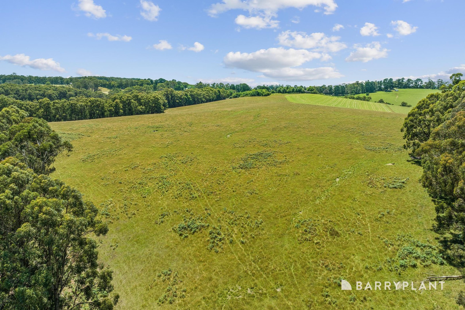 1230 Pakenham Road, Mount Burnett, VIC 3781, Mount Burnett - Thumbnail 4