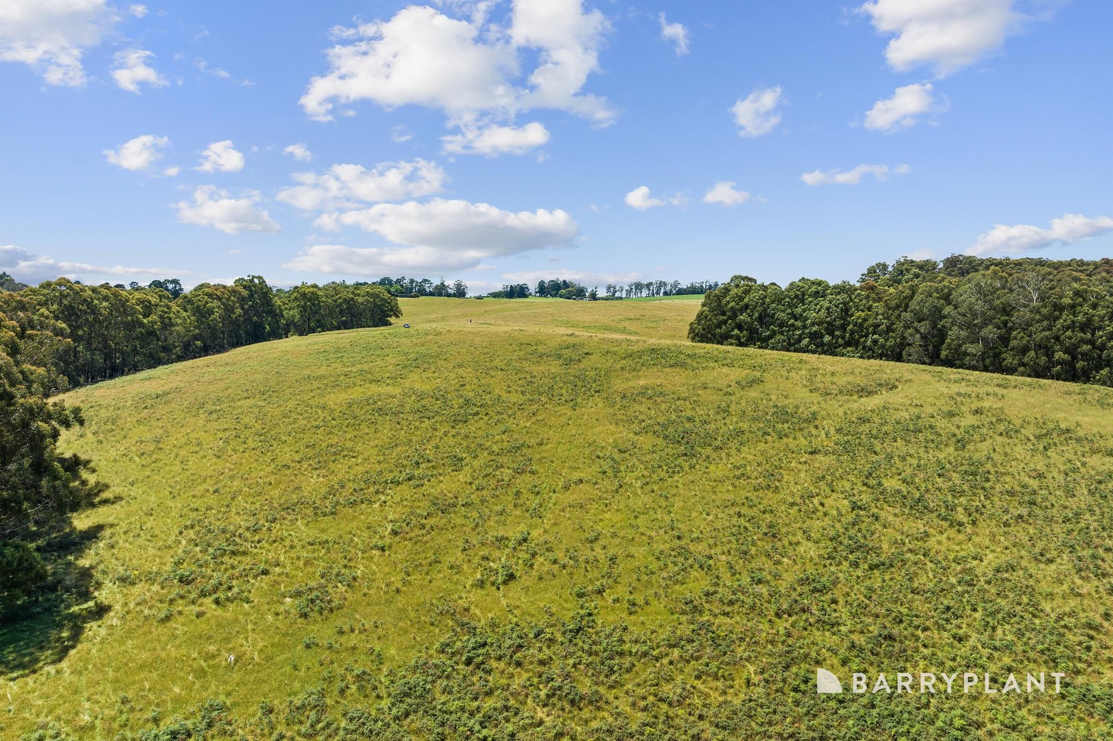1230 Pakenham Road, Mount Burnett, VIC 3781, Mount Burnett - Thumbnail 5