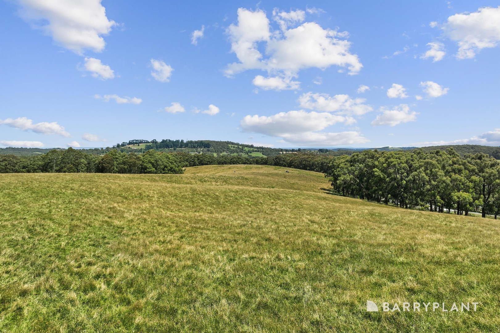 1230 Pakenham Road, Mount Burnett, VIC 3781, Mount Burnett - Thumbnail 6