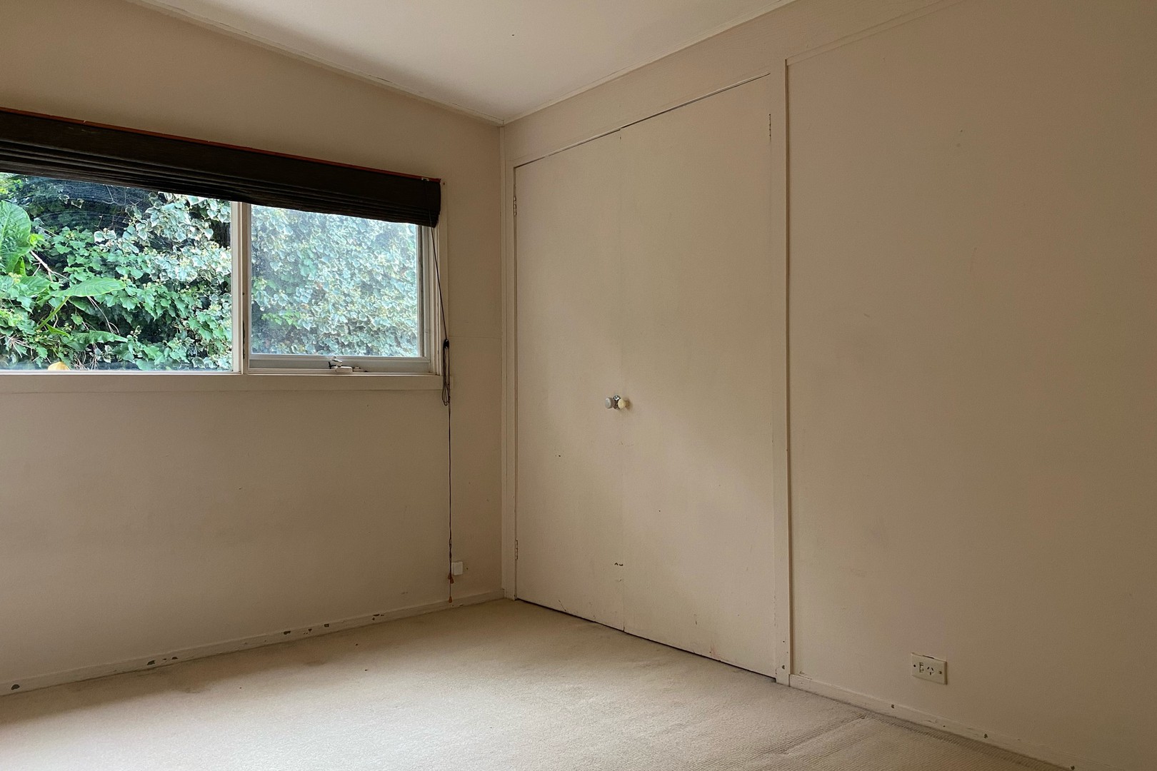 127 Springvale Road, Glen Waverley, VIC 3150, Glen Waverley - Thumbnail 6