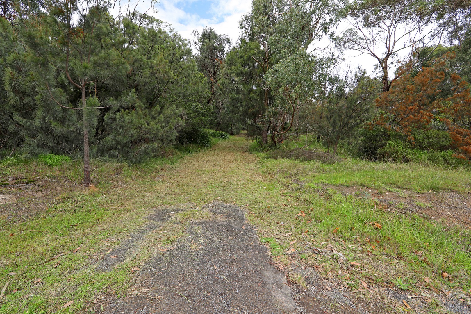 1276 Wellington Road, Lysterfield, VIC 3156, Lysterfield - Thumbnail 2