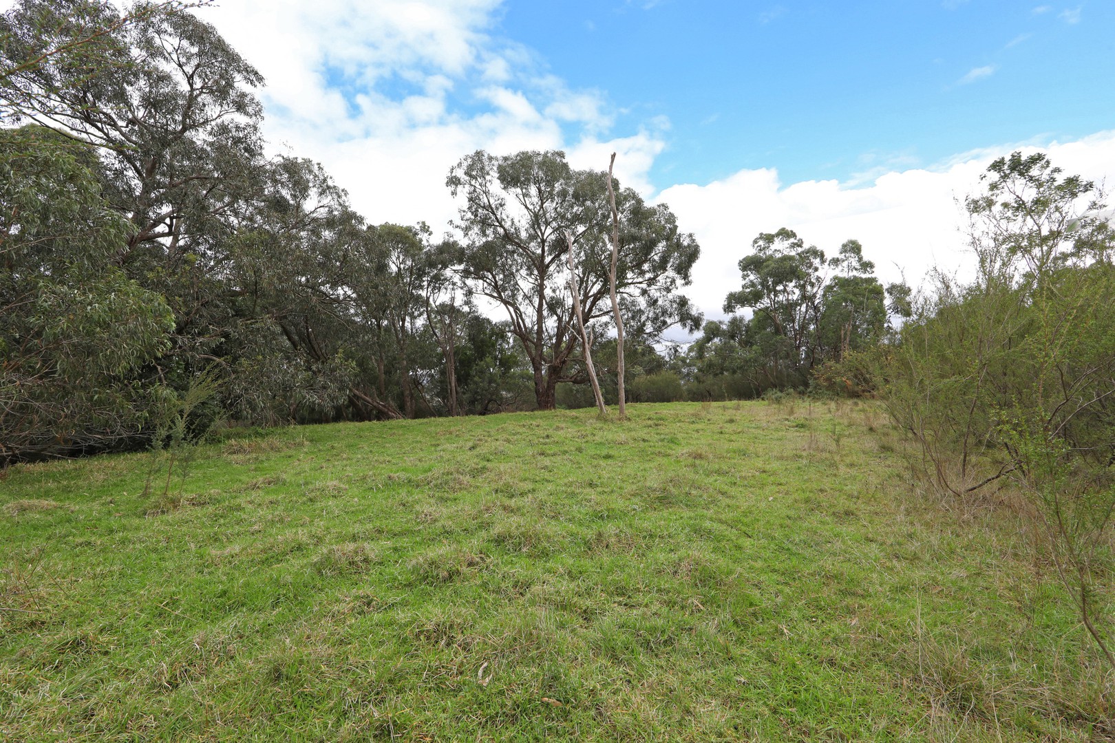 1276 Wellington Road, Lysterfield, VIC 3156, Lysterfield - Thumbnail 5