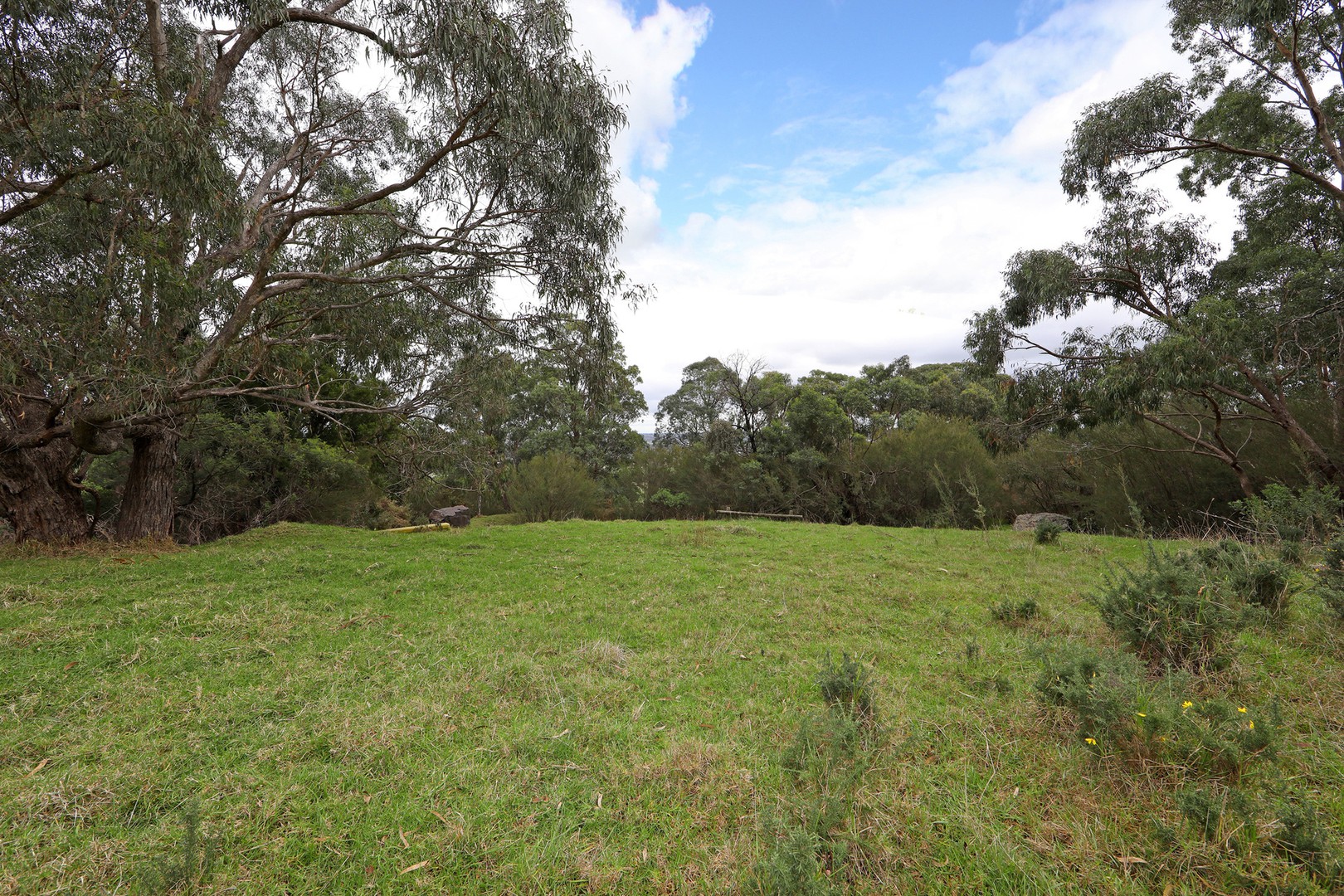 1276 Wellington Road, Lysterfield, VIC 3156, Lysterfield - Thumbnail 6