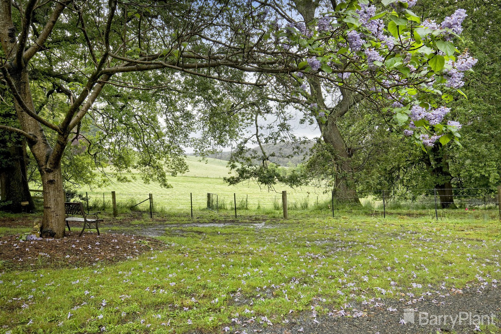 1280 Pakenham Road, Mount Burnett, VIC 3781, Mount Burnett - Thumbnail 4