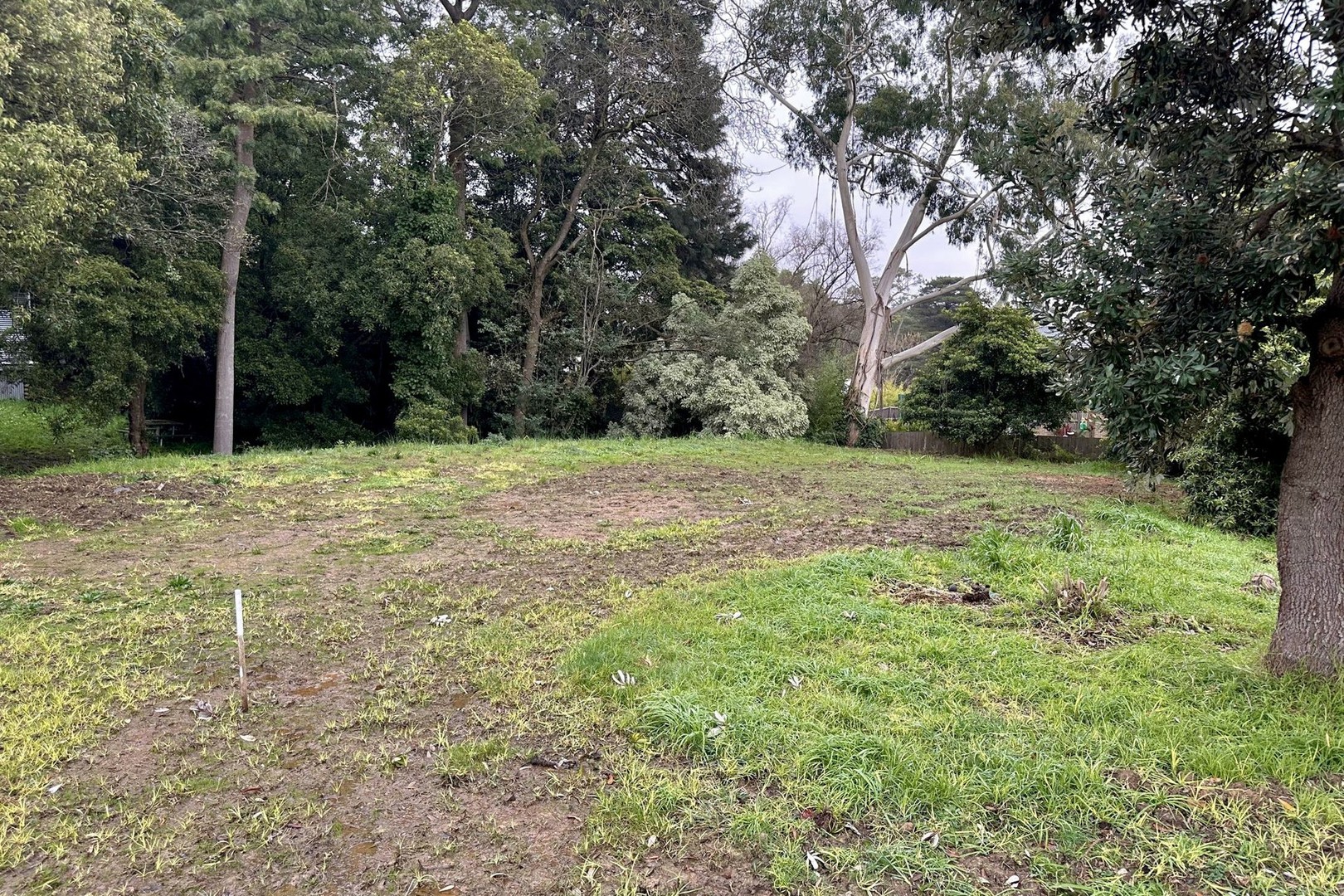 12A Augusta Road, The Basin, VIC 3154, The Basin - Thumbnail 2