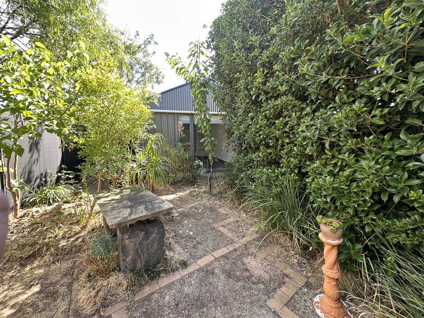12A Bakewell Street, Herne Hill, VIC 3218, Herne Hill - Thumbnail 4